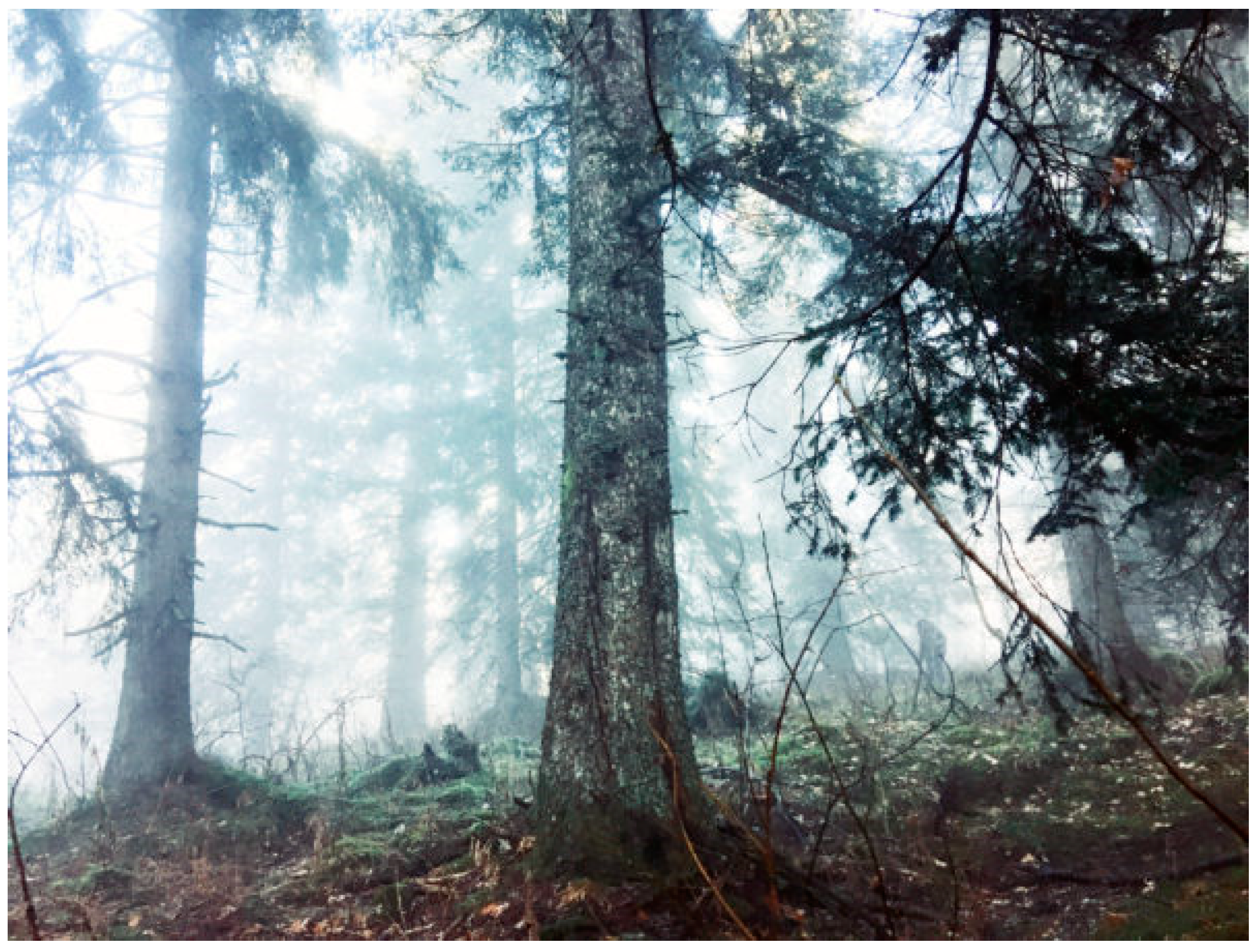 Religions 13 00023 g001