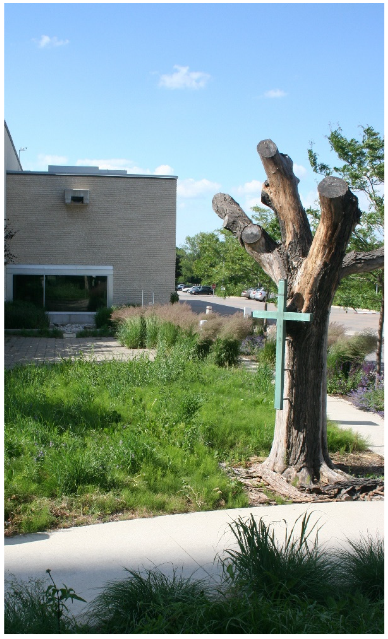 Religions 13 00029 g014