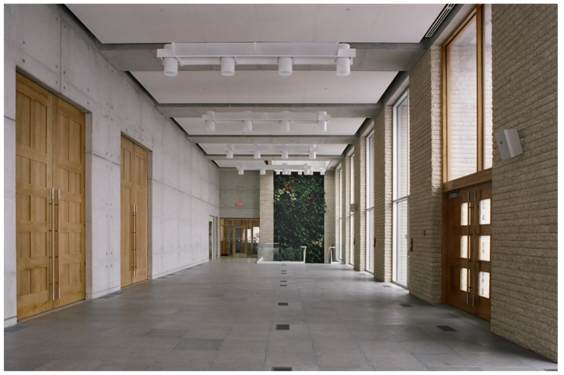 Religions 13 00029 g016