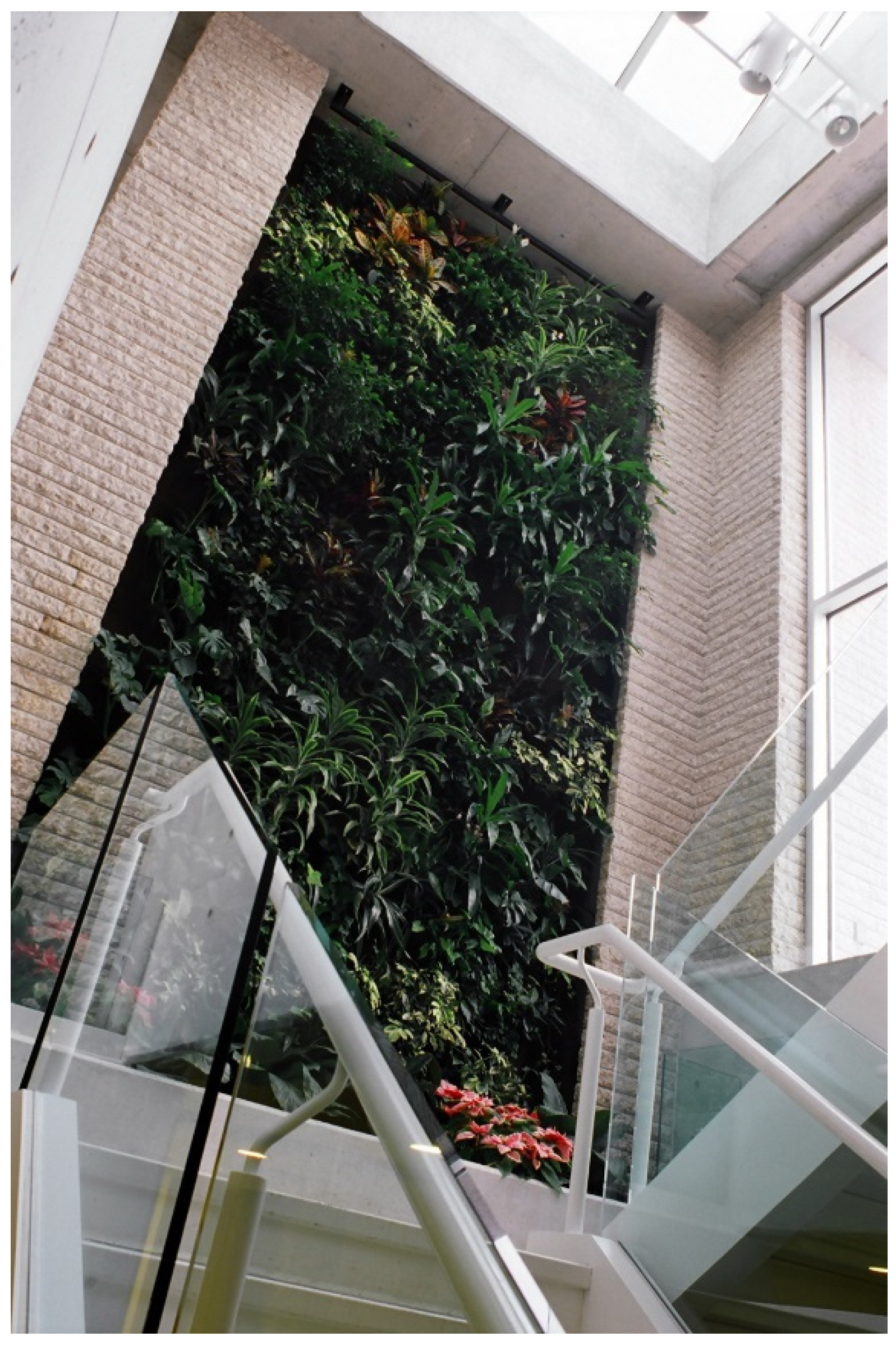 Religions 13 00029 g017