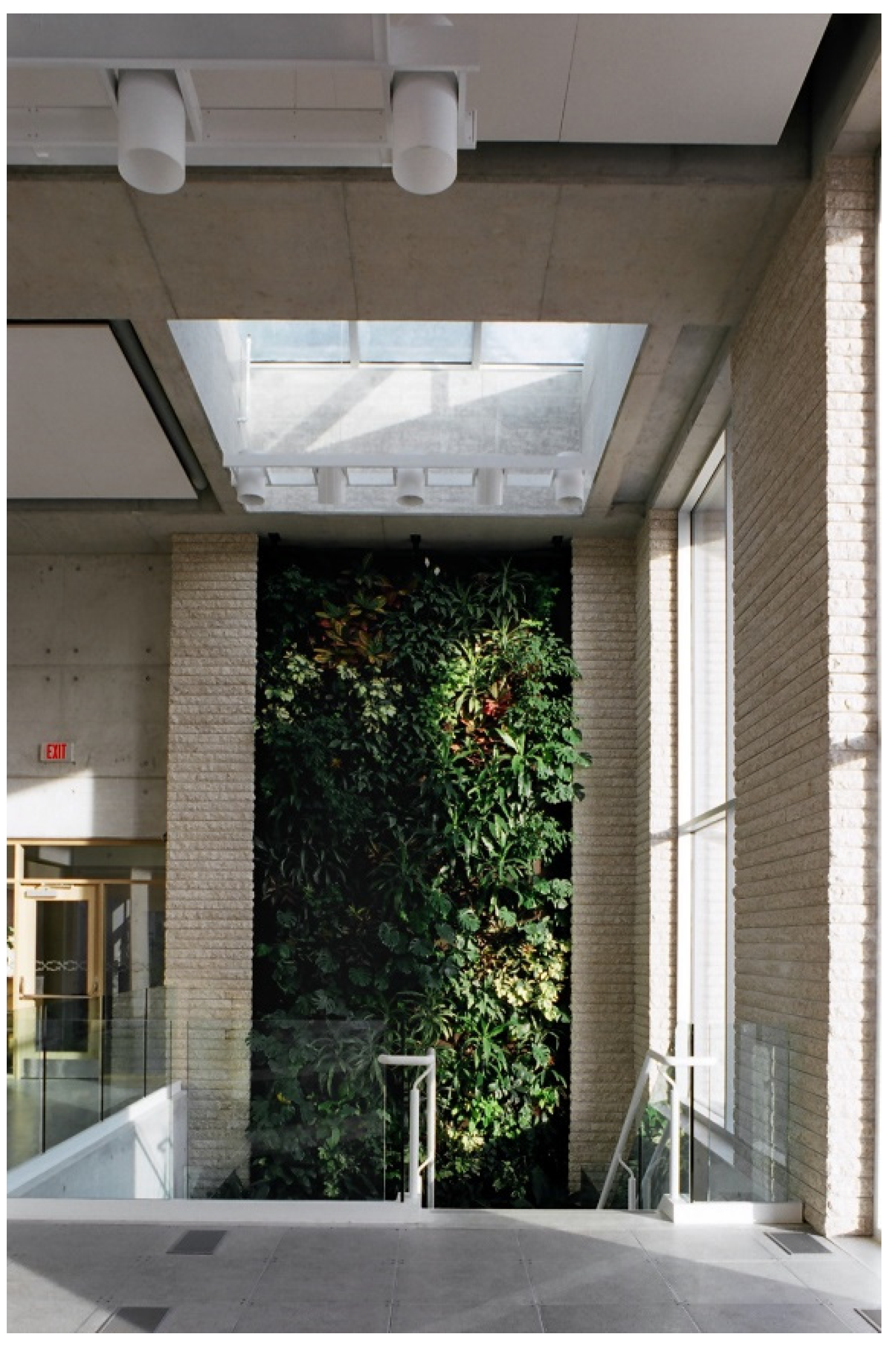 Religions 13 00029 g018