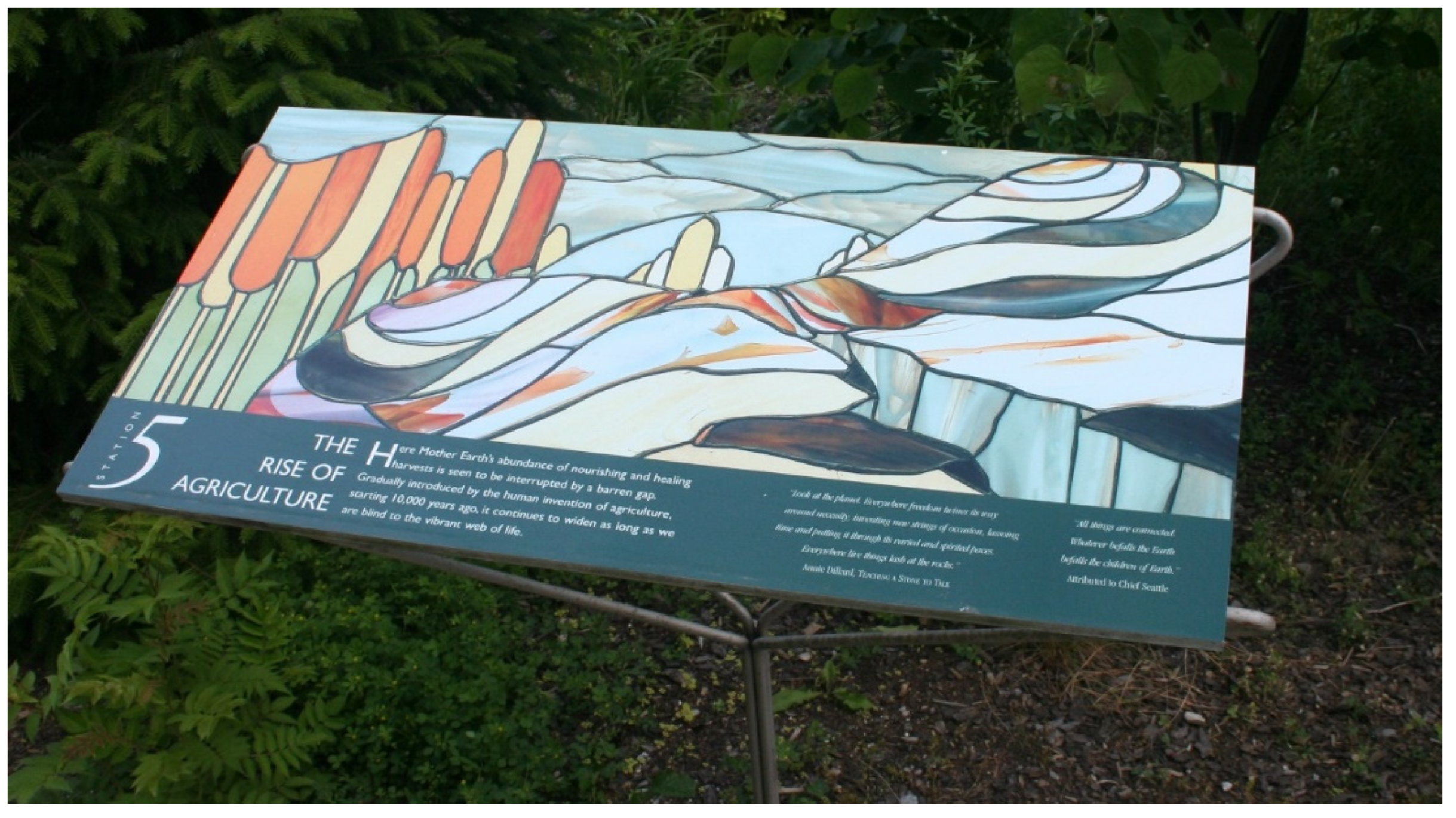 Religions 13 00029 g019