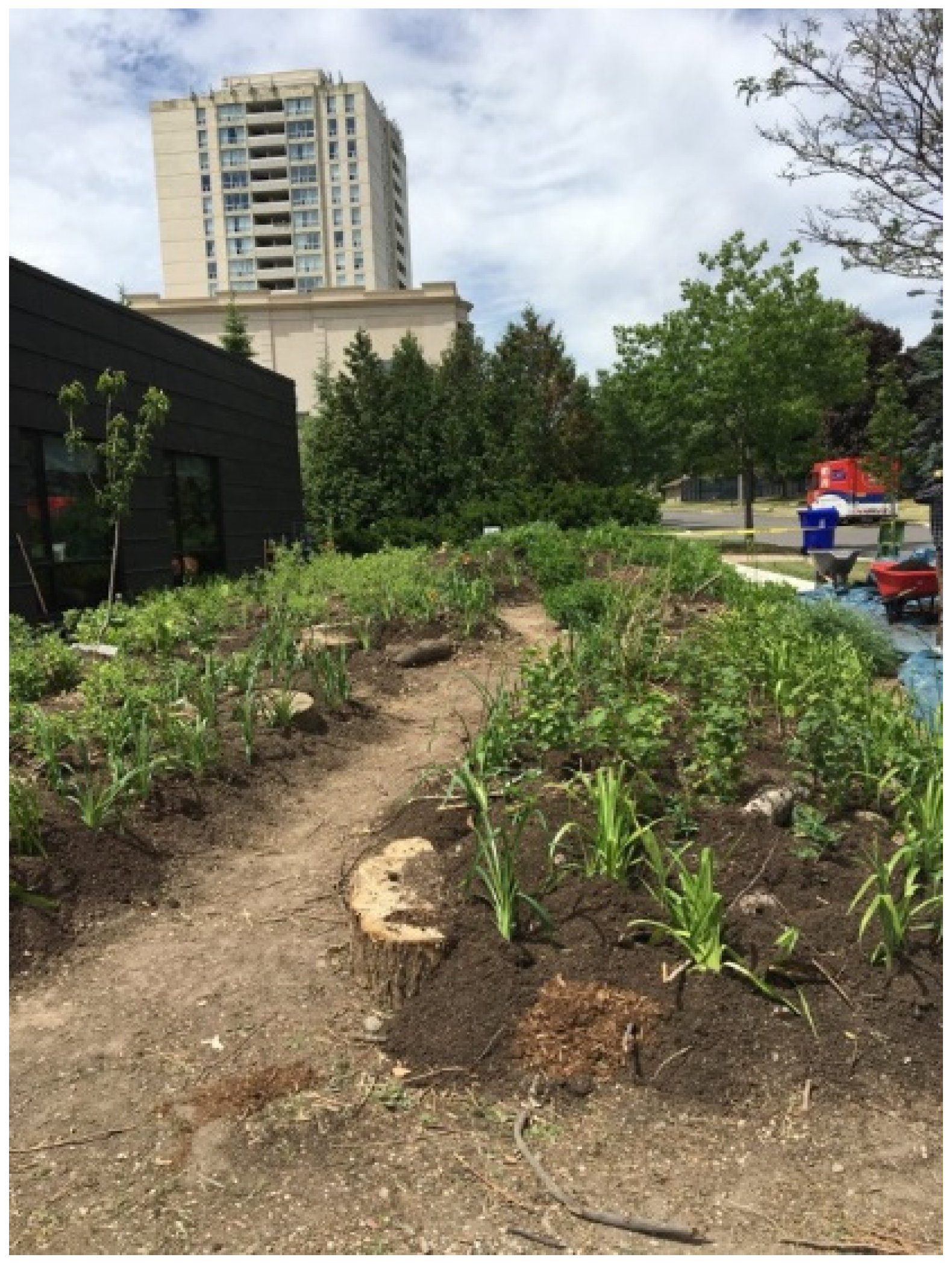 Religions 13 00029 g021