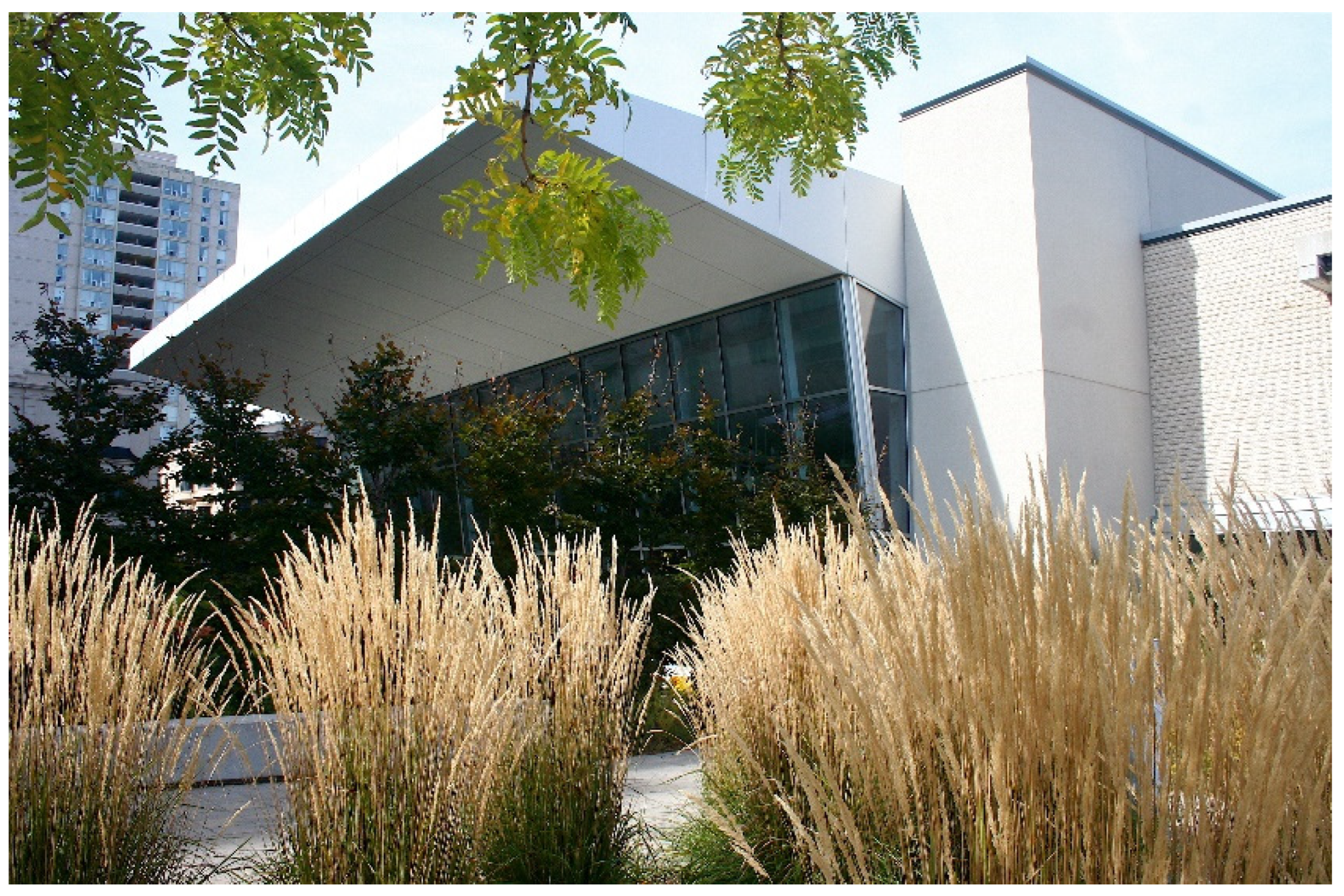 Religions 13 00029 g022