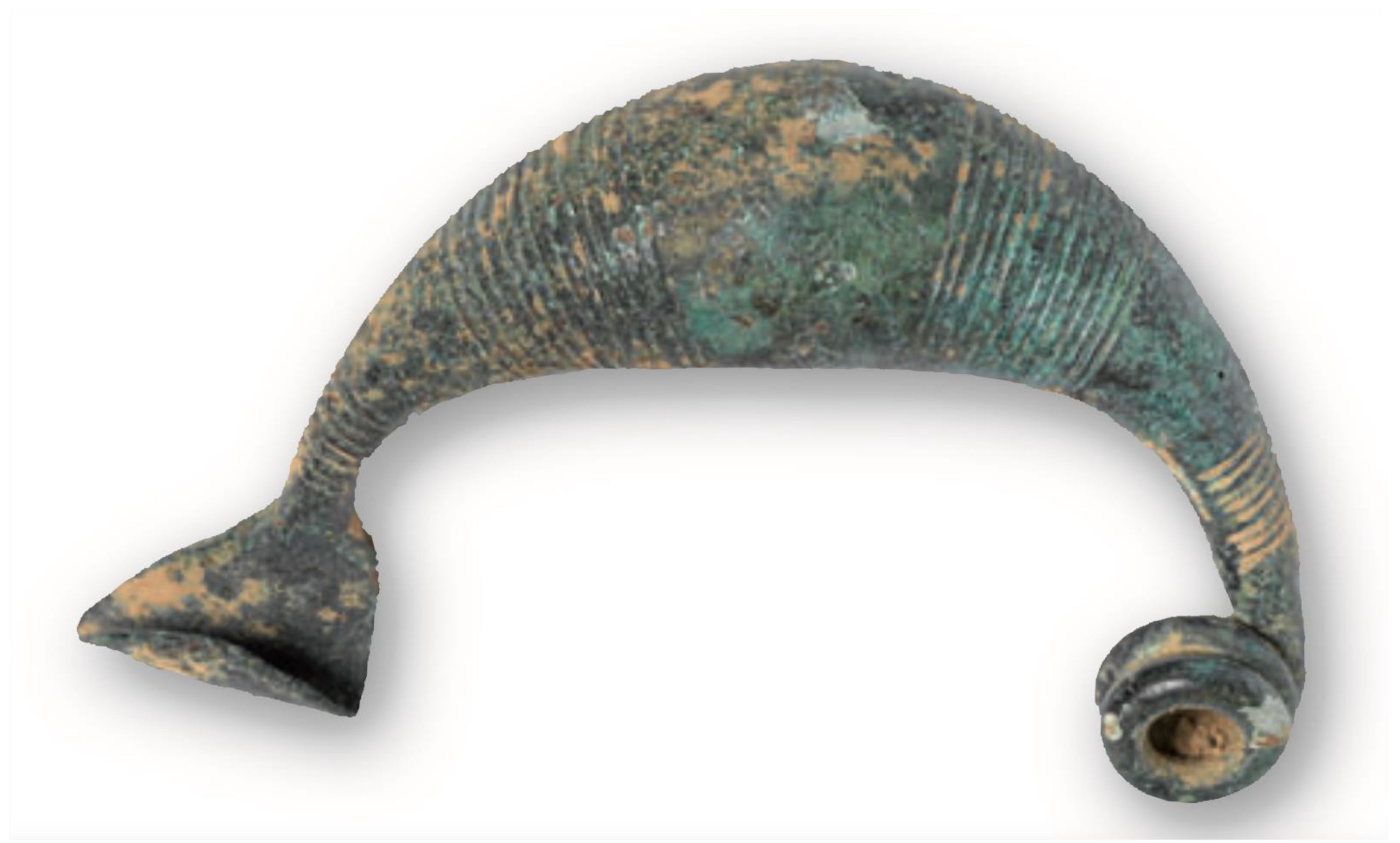 Religions 13 00048 g006