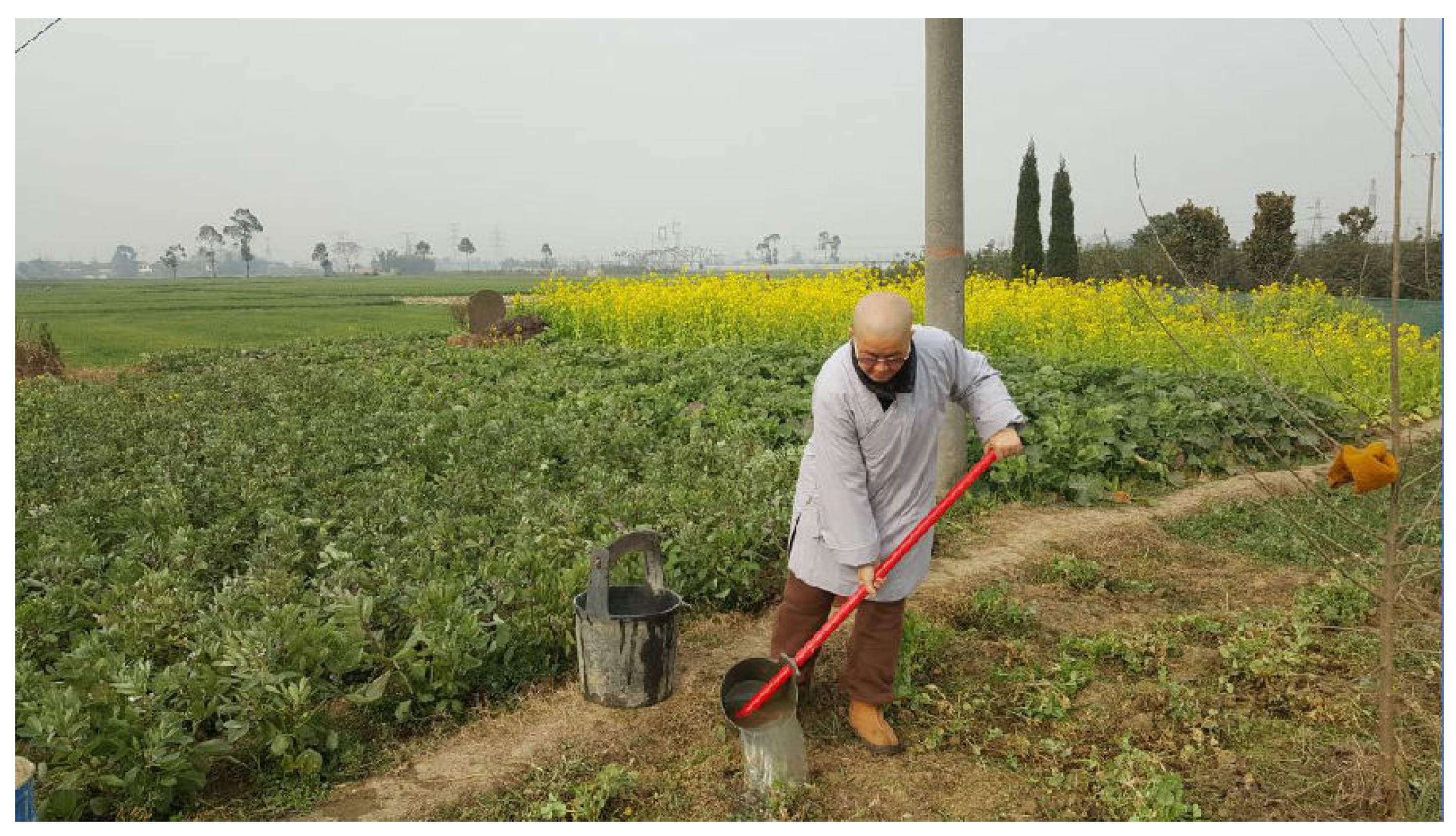 Religions 13 00061 g004