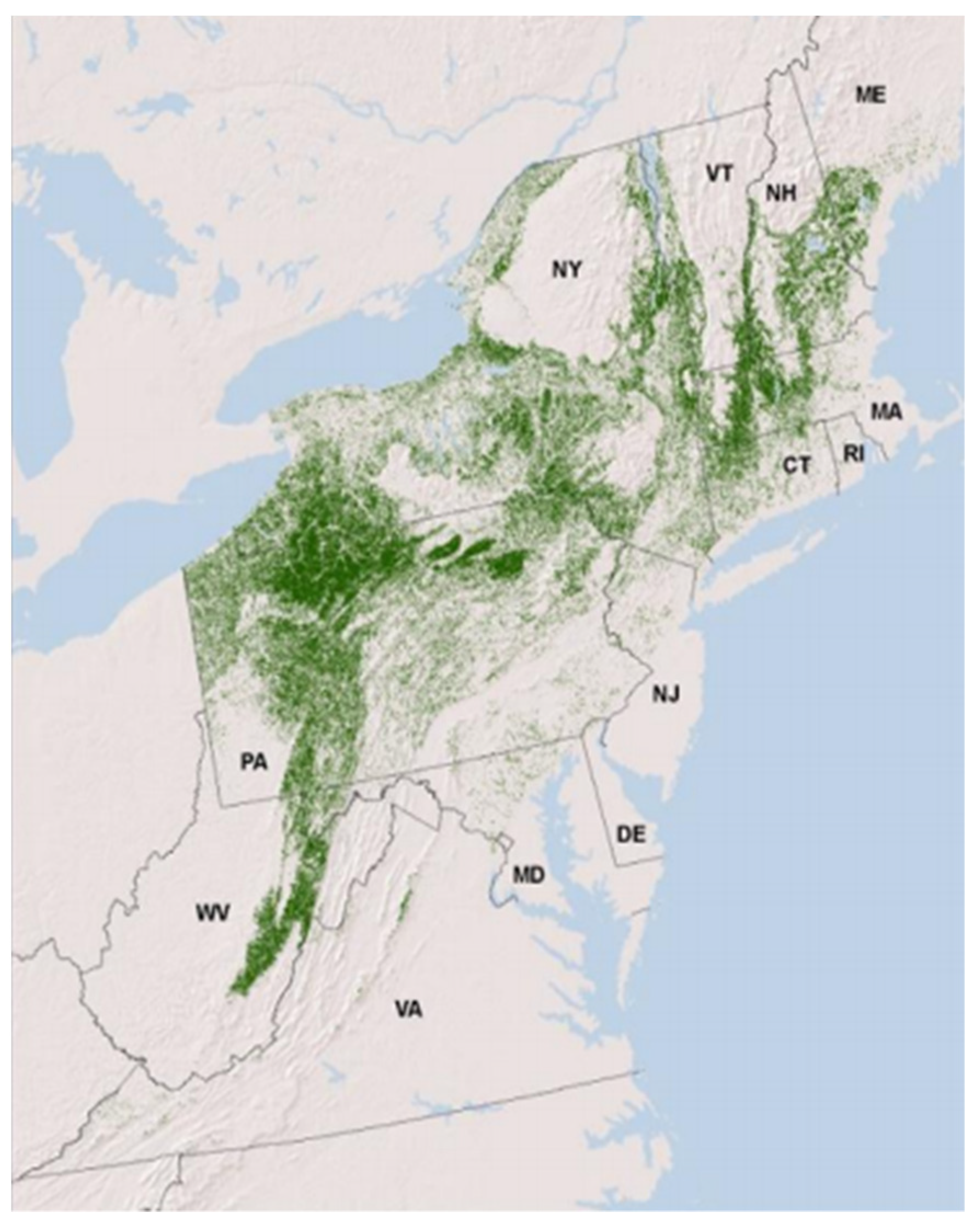 Religions 13 00232 g001