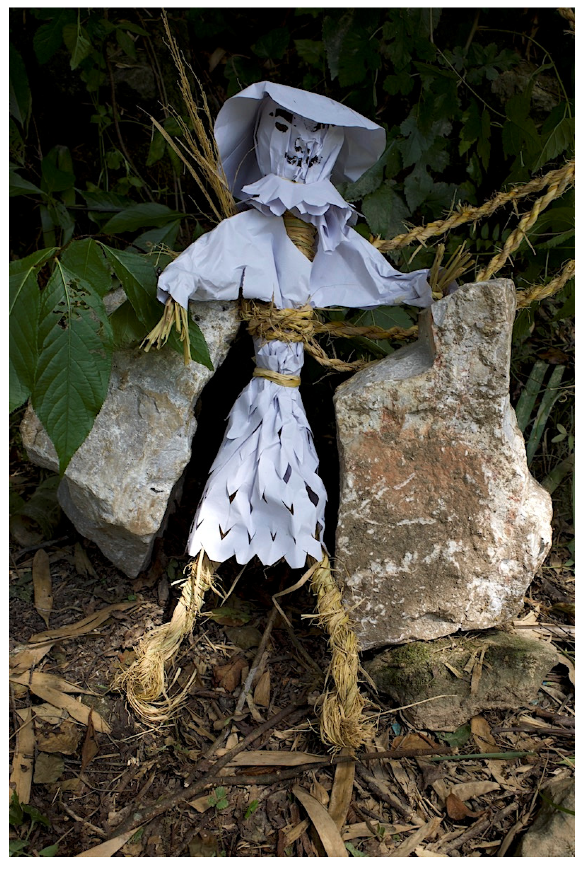 Religions 13 00303 g014