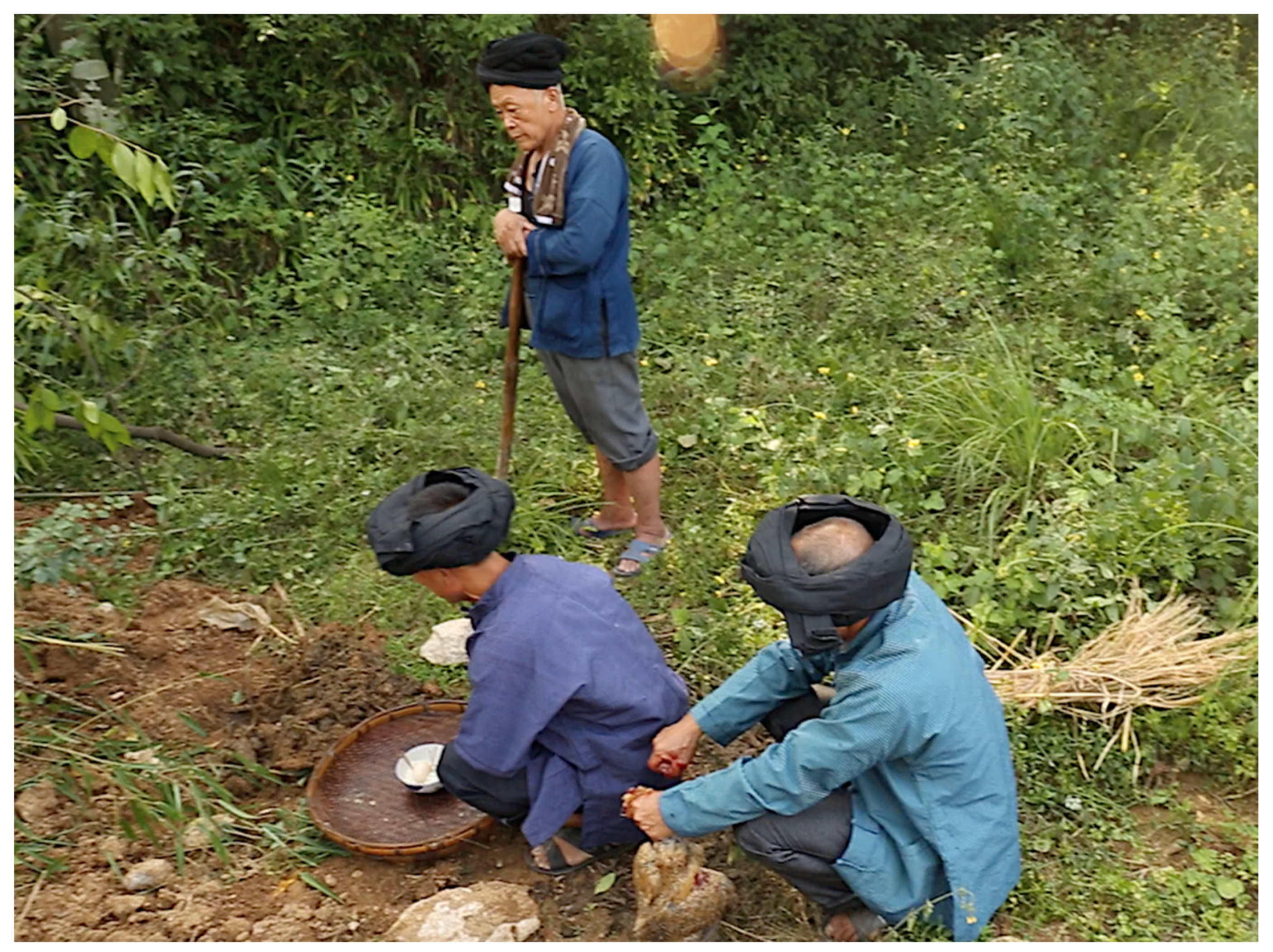 Religions 13 00303 g015