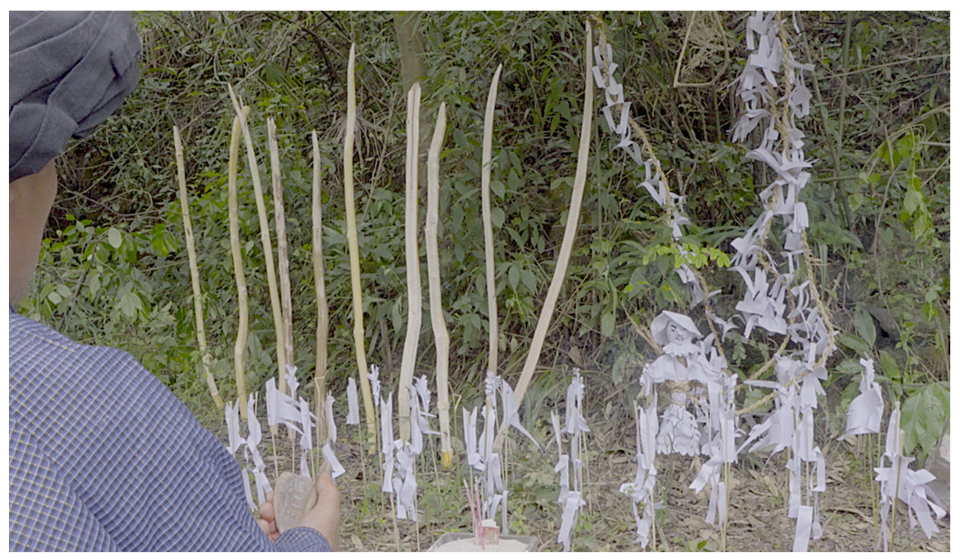 Religions 13 00303 g018