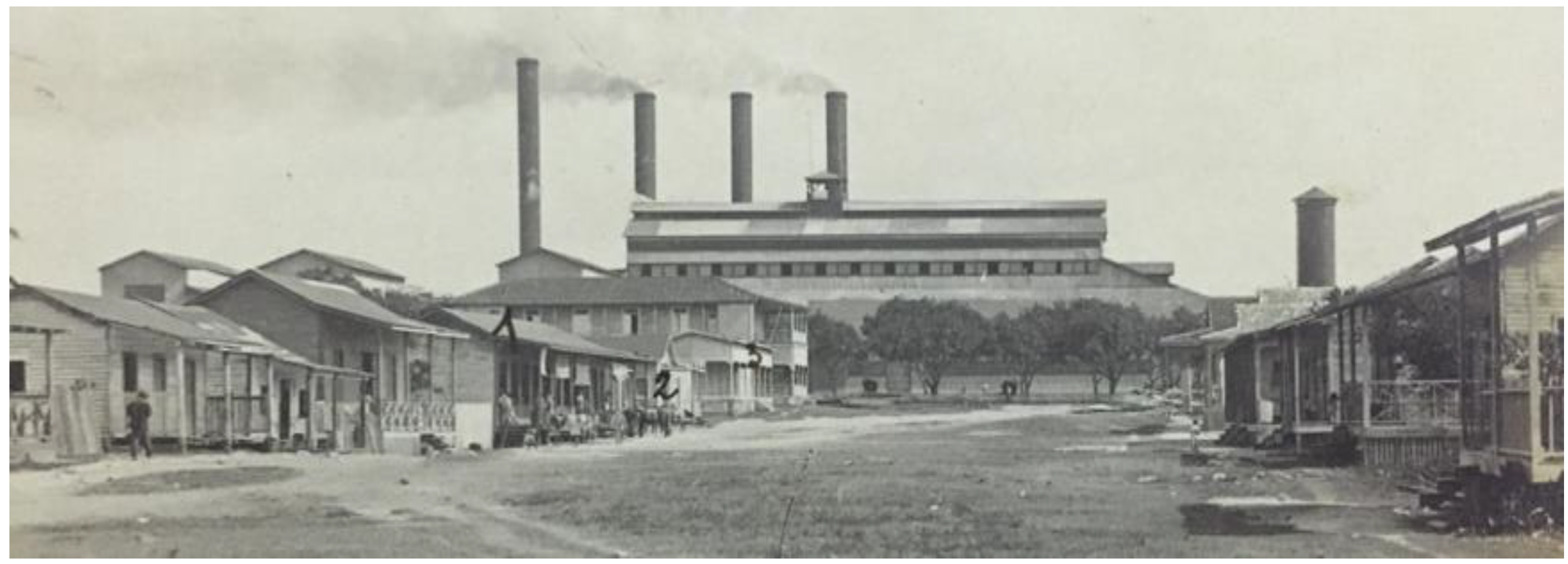 Religions 13 00494 g001