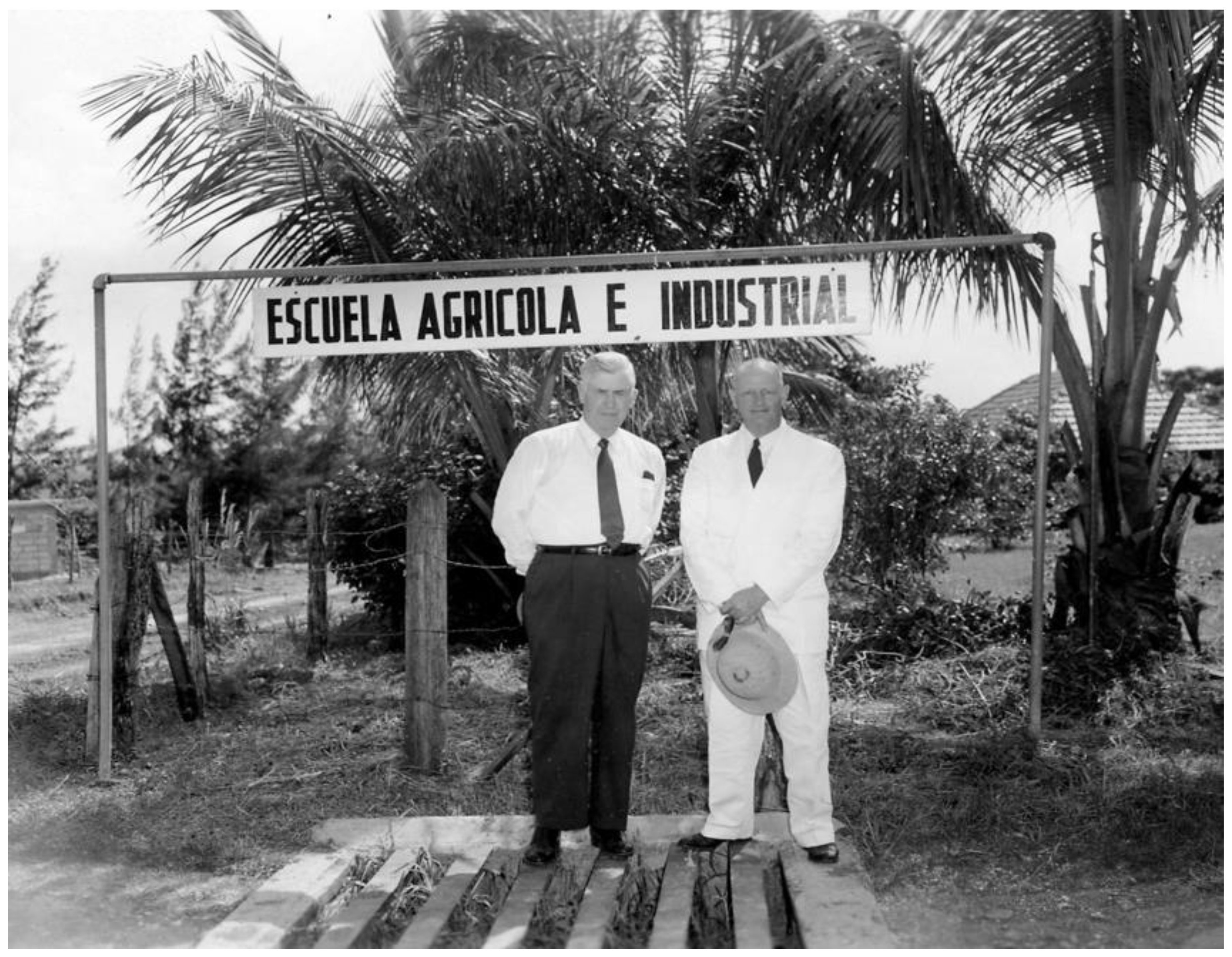 Religions 13 00494 g002