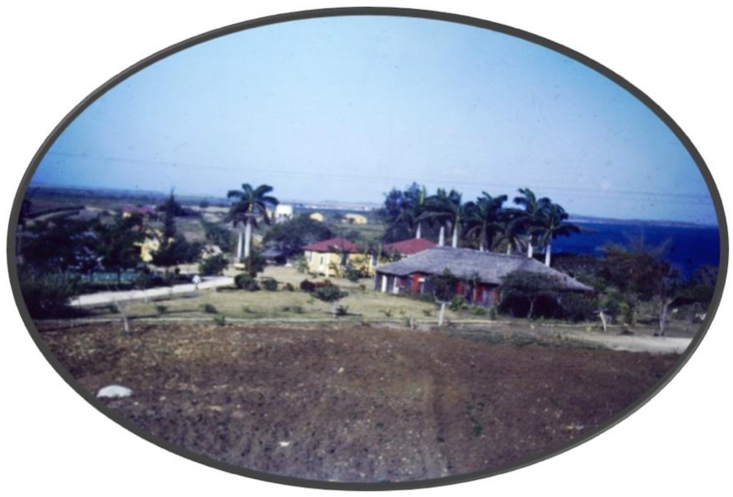 Religions 13 00494 g003