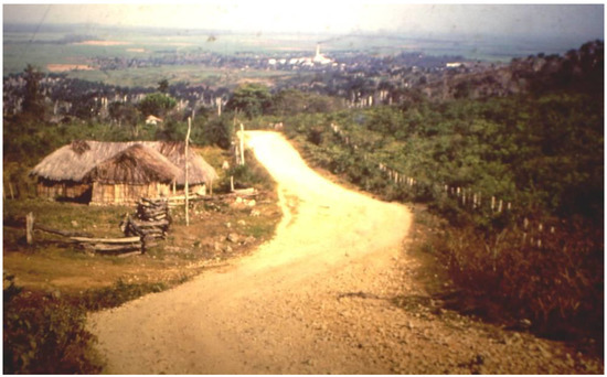 Religions 13 00494 g004 550