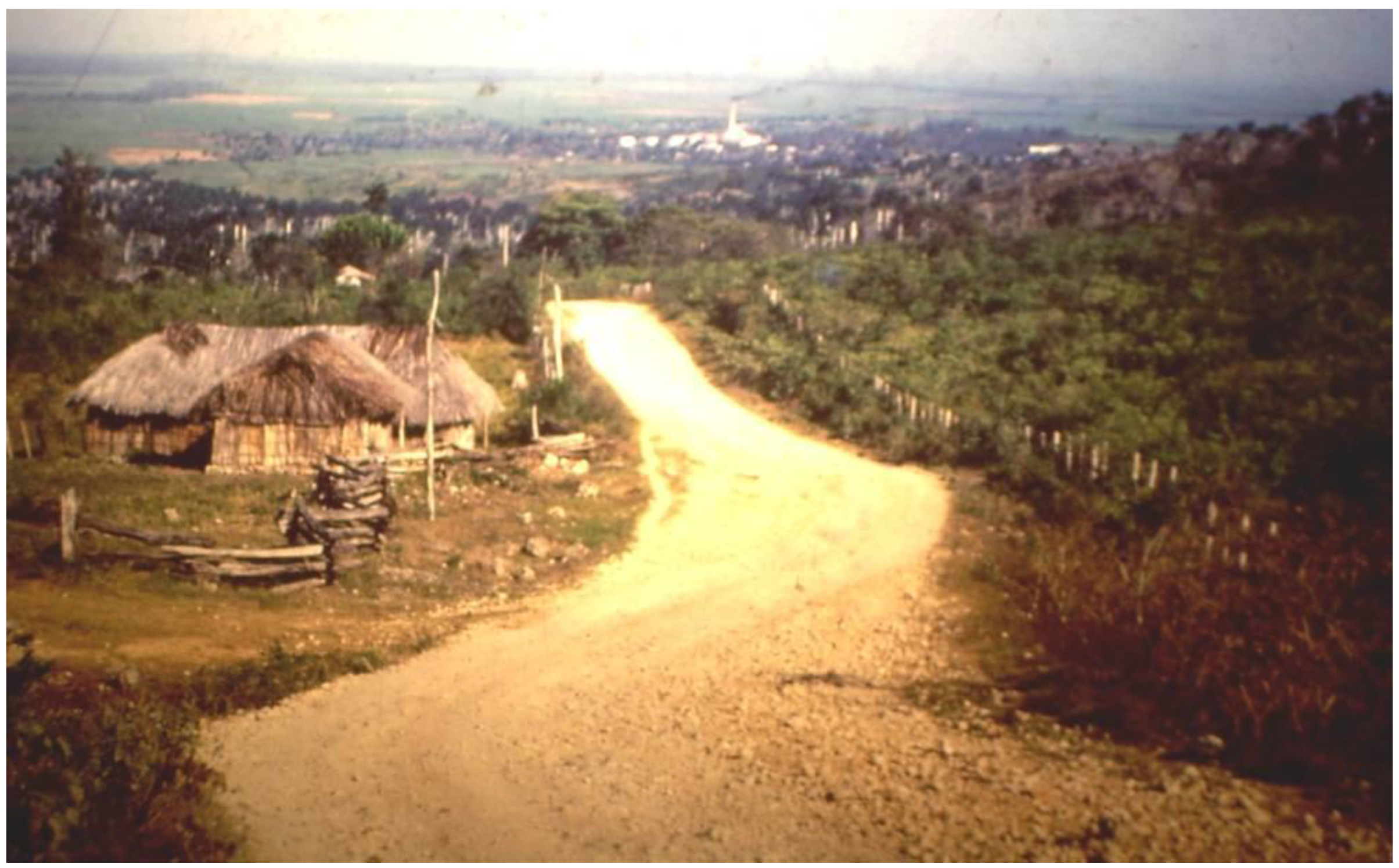 Religions 13 00494 g004