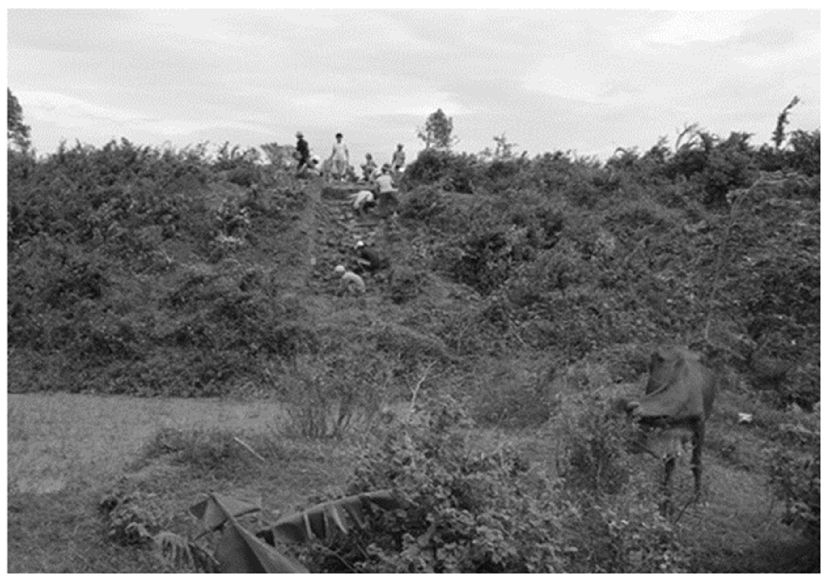 Religions 13 00656 g002