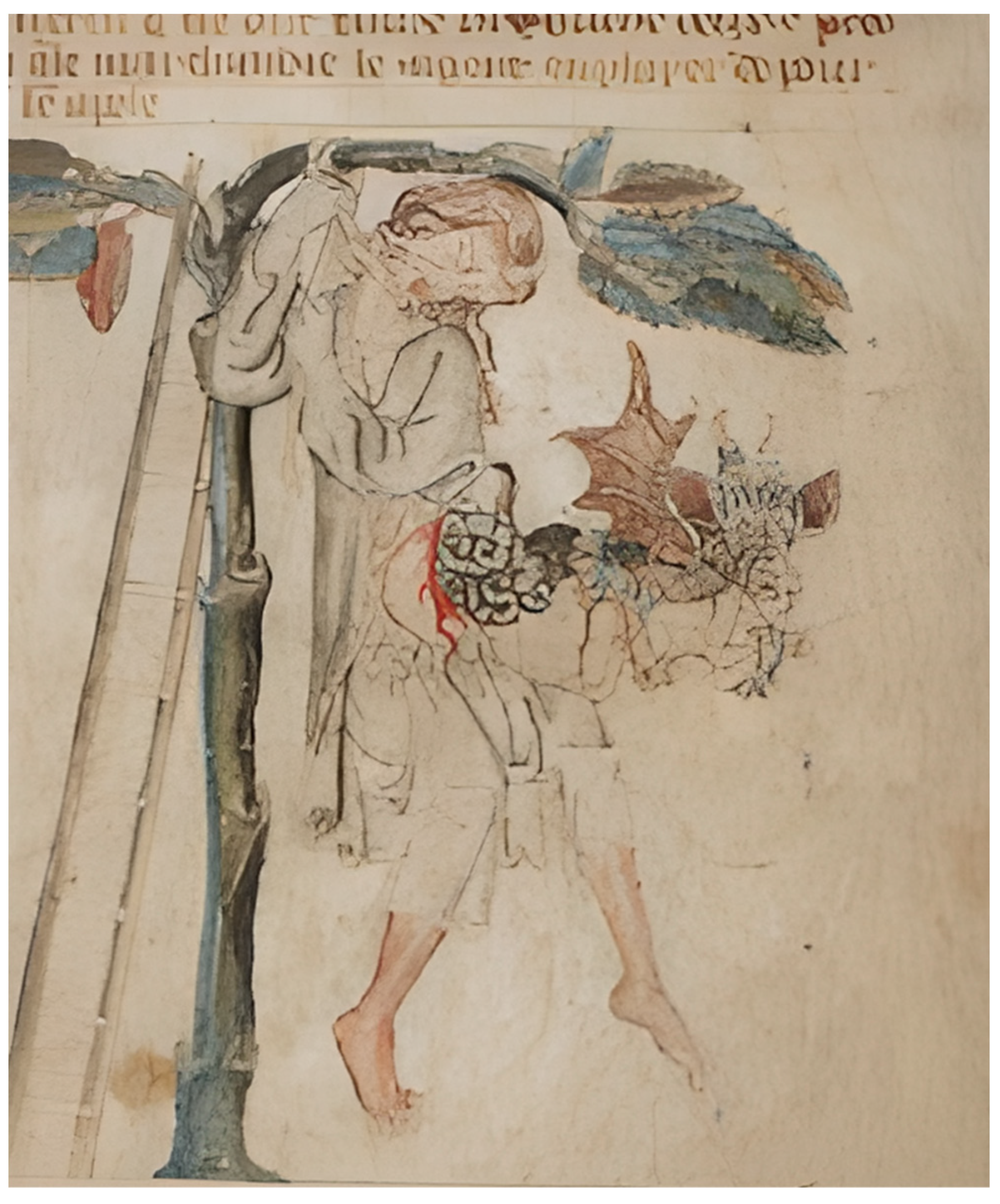 Religions 13 01048 g010 Religions 13 01048 g010