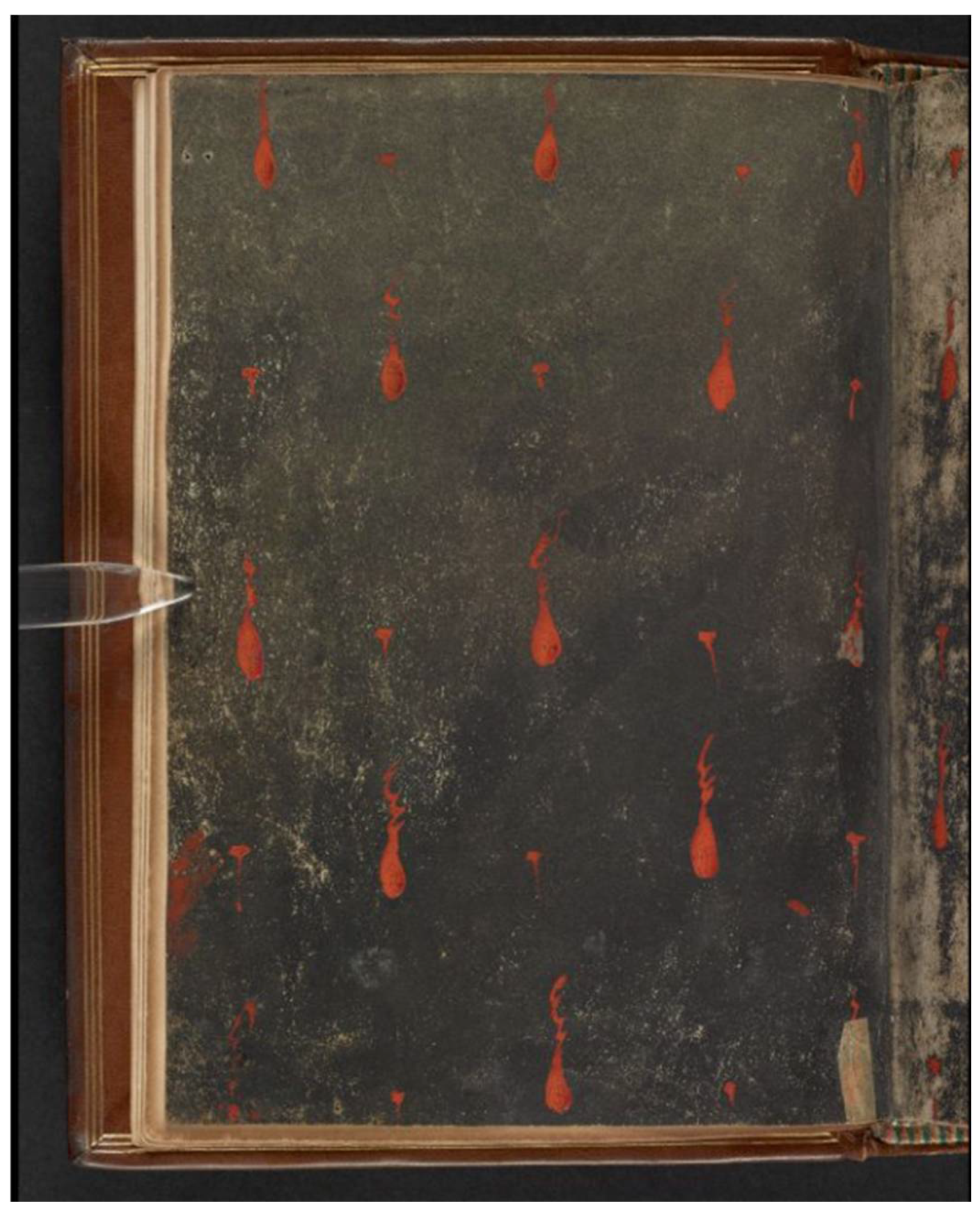 Religions 13 01102 g001 Religions 13 01102 g001