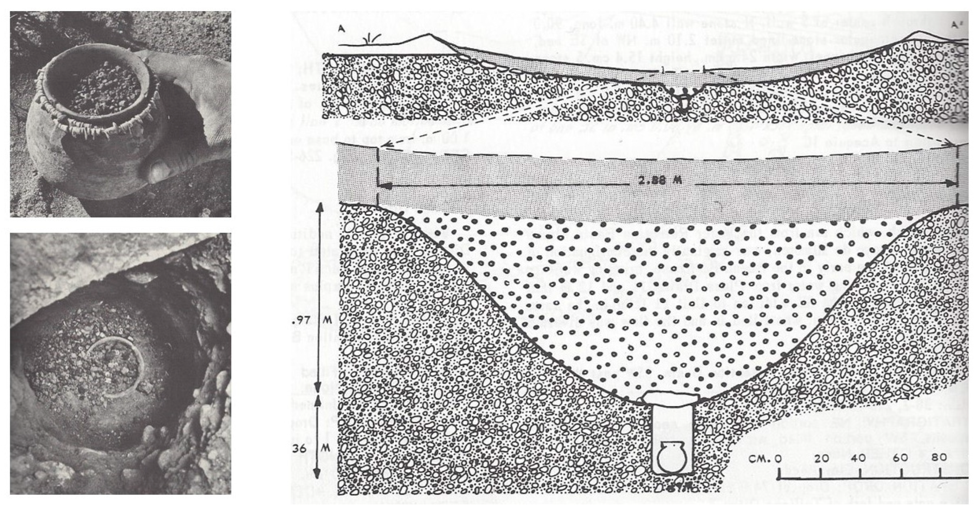 Religions 14 00053 g003 Religions 14 00053 g003