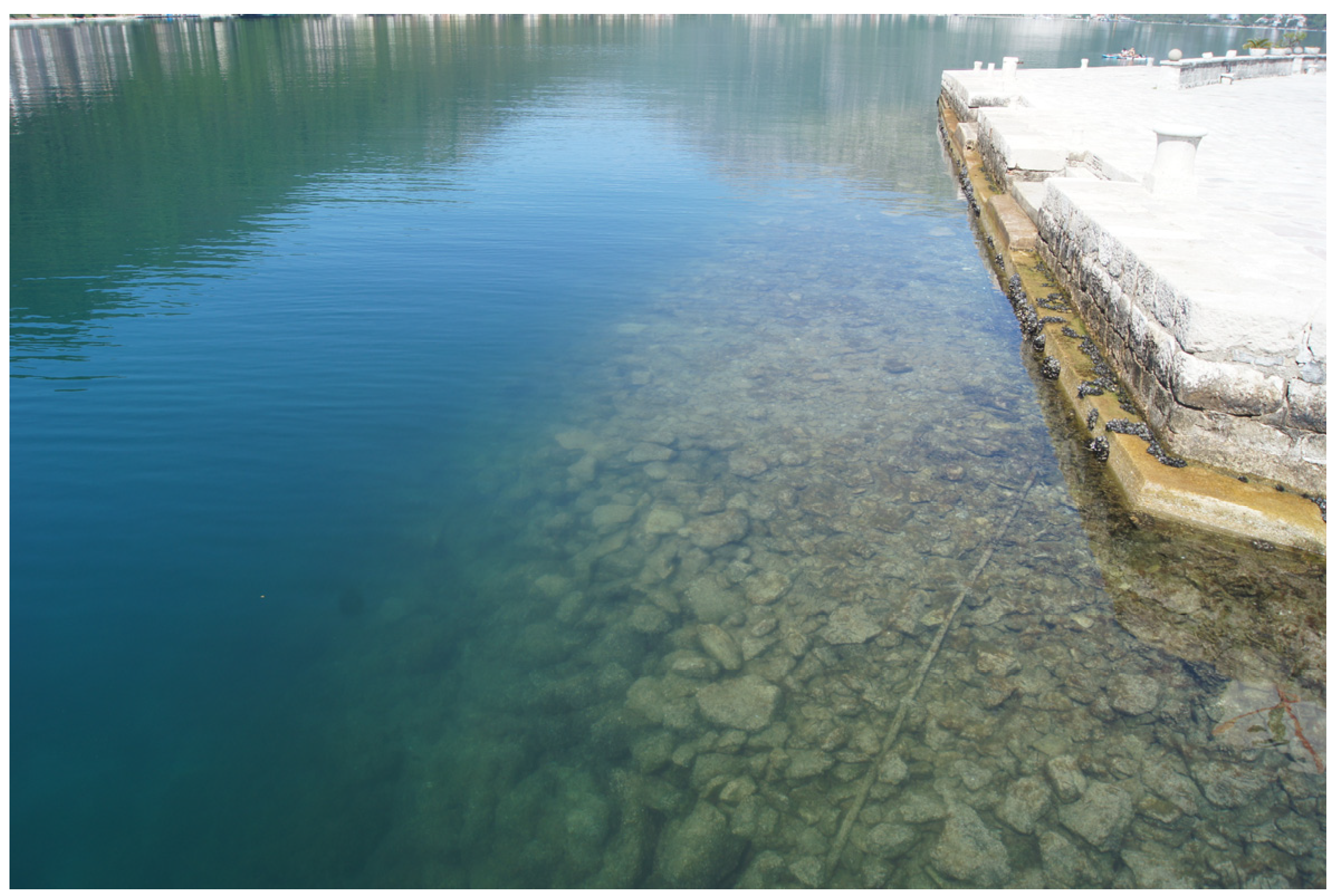 Religions 14 00522 g006