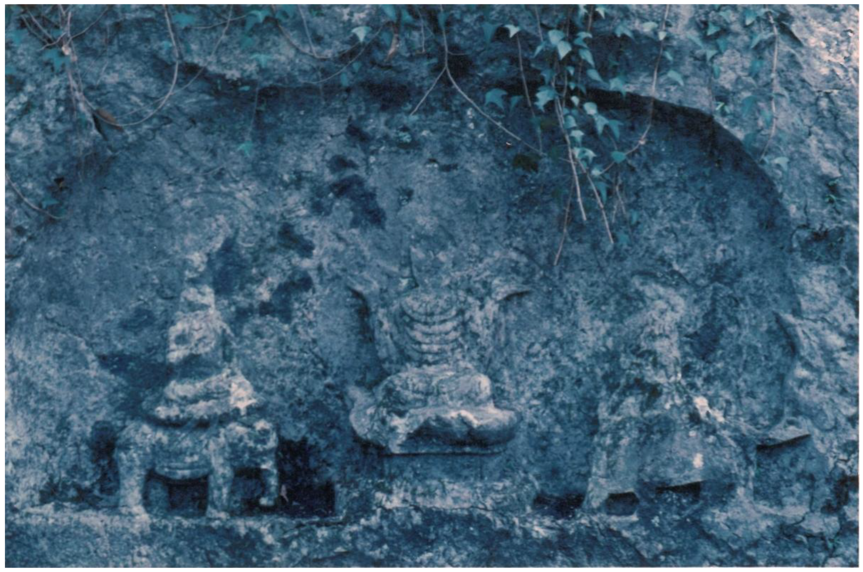 Religions 14 00588 g008