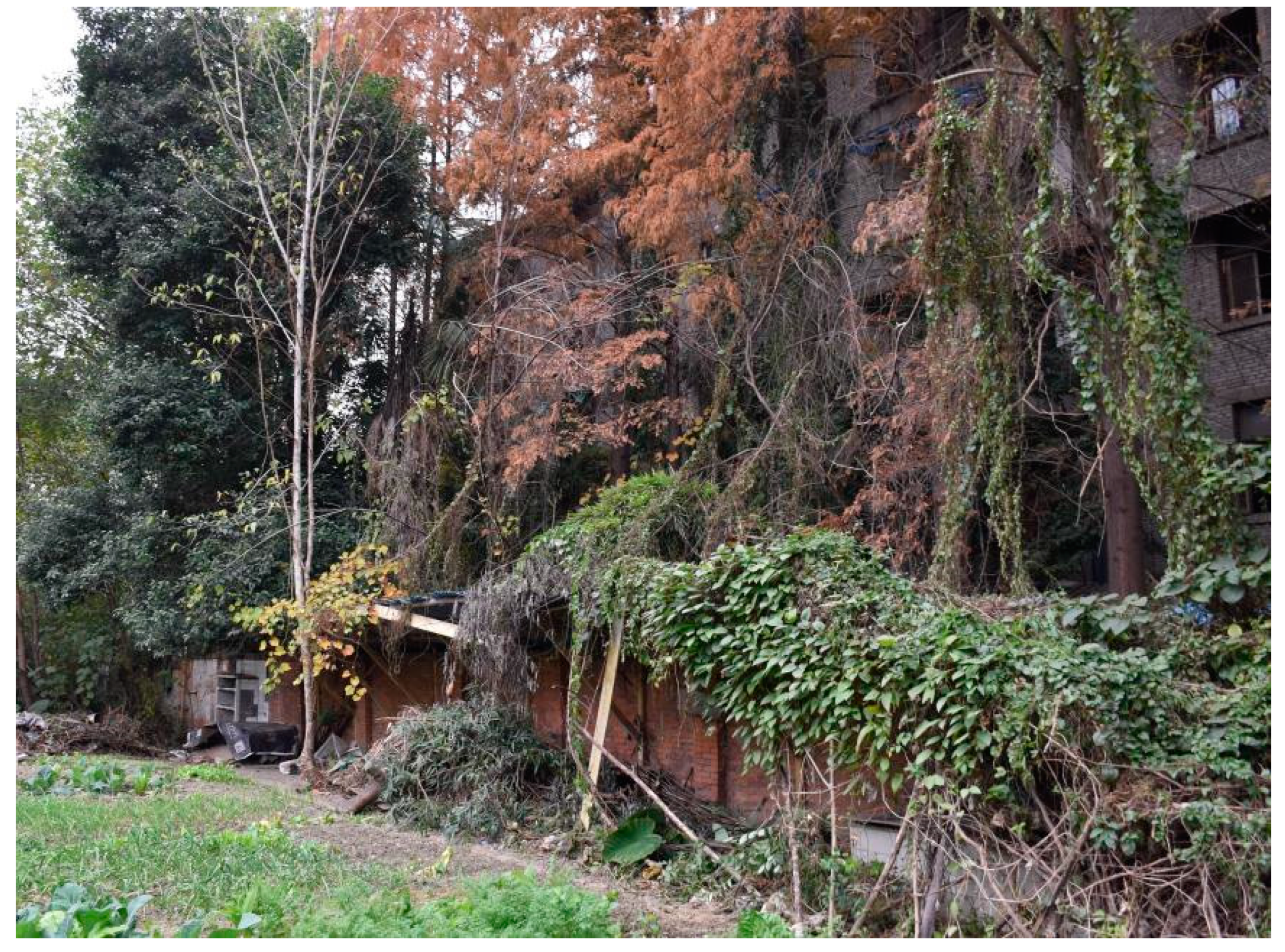 Religions 14 00759 g003