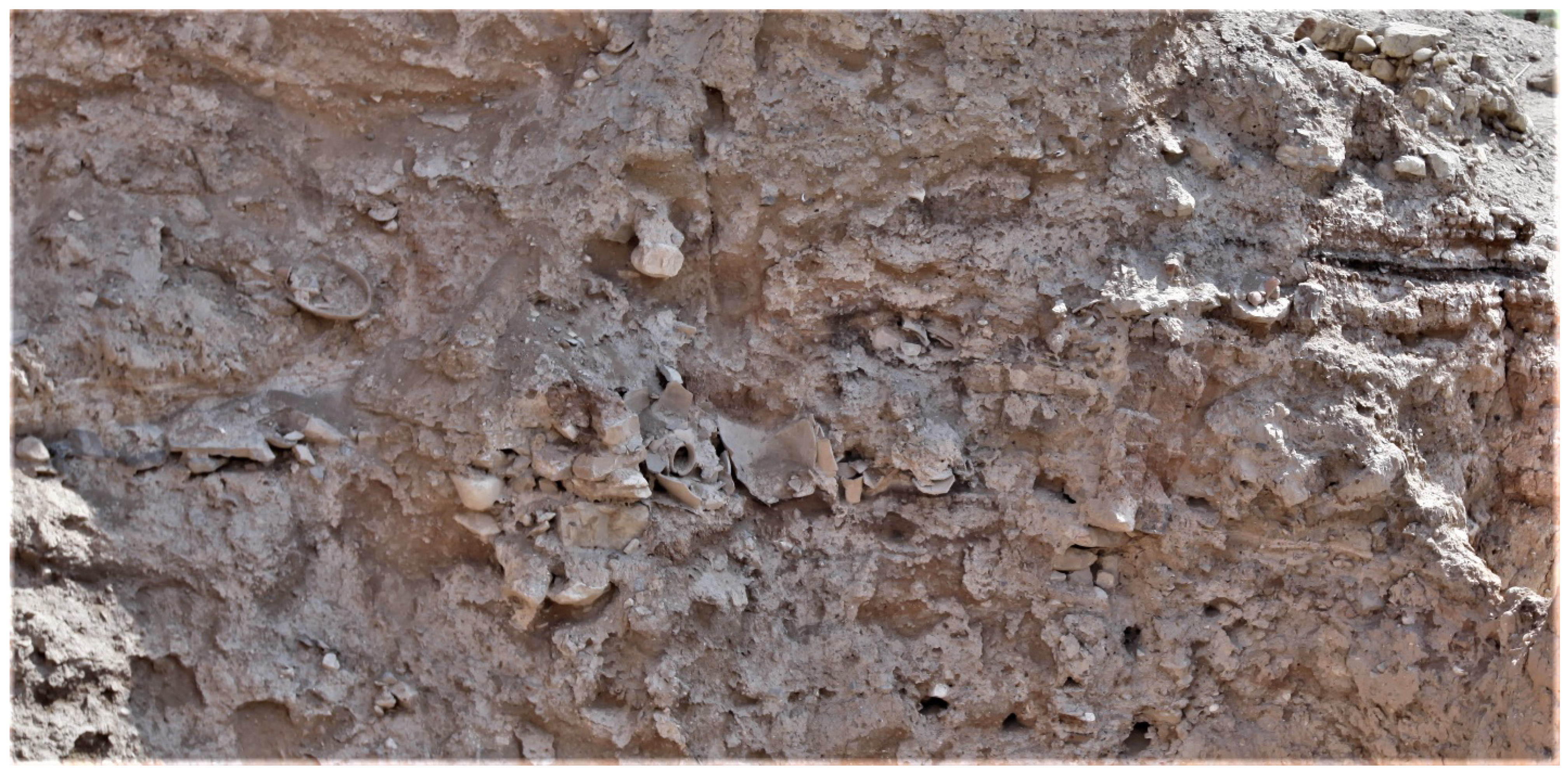 Religions 14 00796 g004