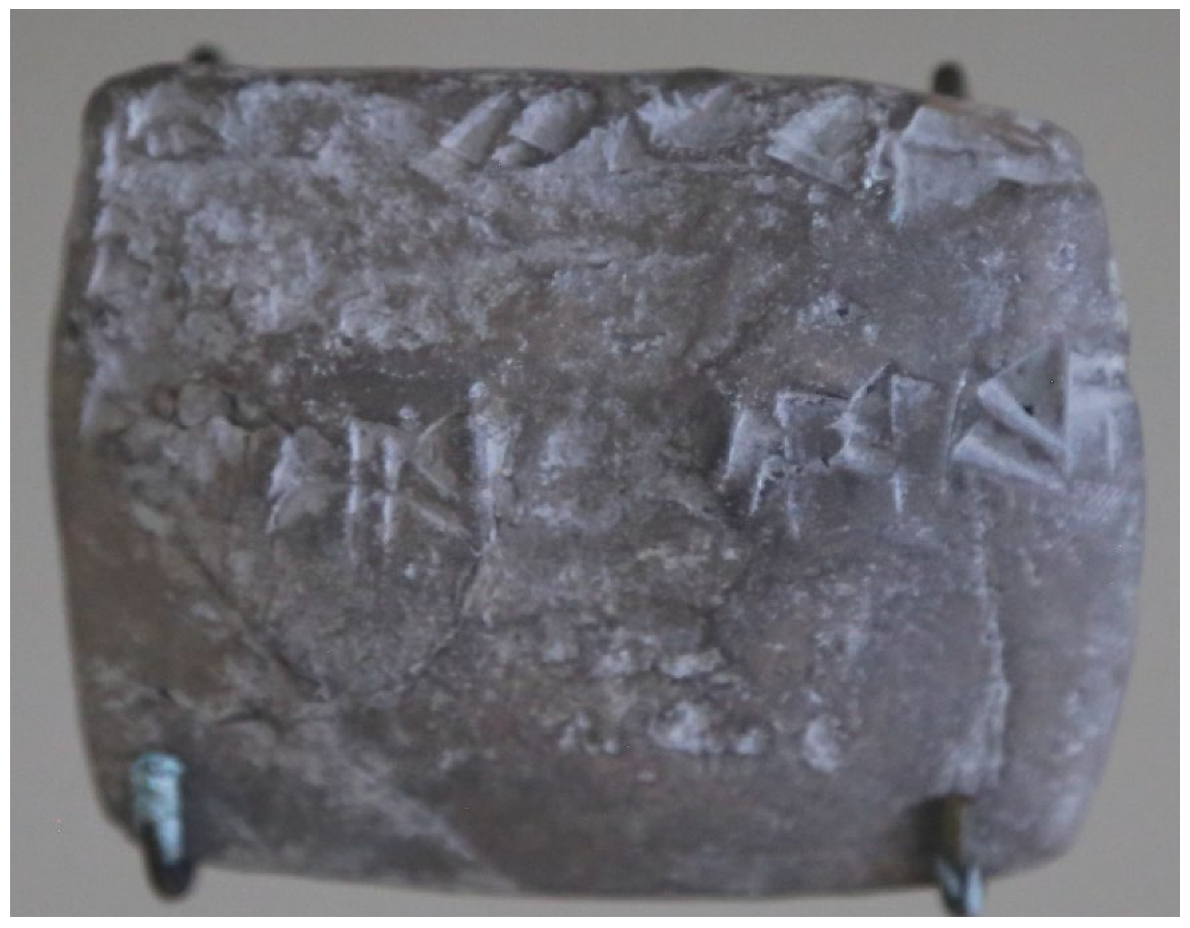 Religions 14 00796 g010