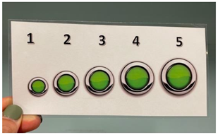 Religions 14 00797 i003 Religions 14 00797 i003