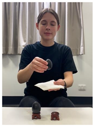 Religions 14 00797 i008 Religions 14 00797 i008