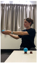 Religions 14 00797 i010 Religions 14 00797 i010