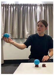 Religions 14 00797 i011 Religions 14 00797 i011