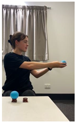 Religions 14 00797 i014 Religions 14 00797 i014