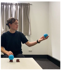 Religions 14 00797 i015 Religions 14 00797 i015