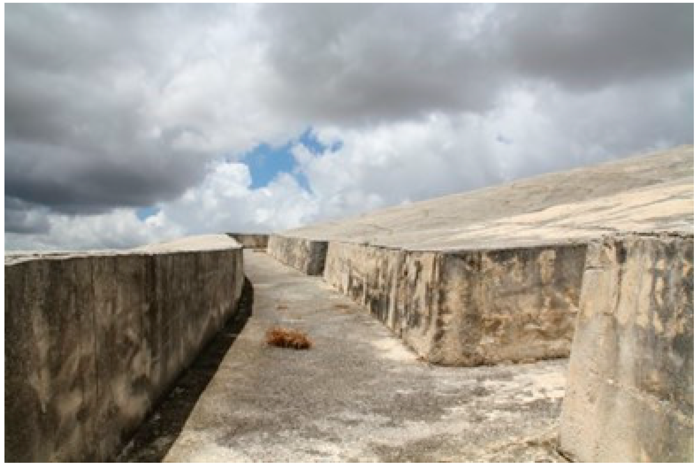 Religions 14 00813 g002