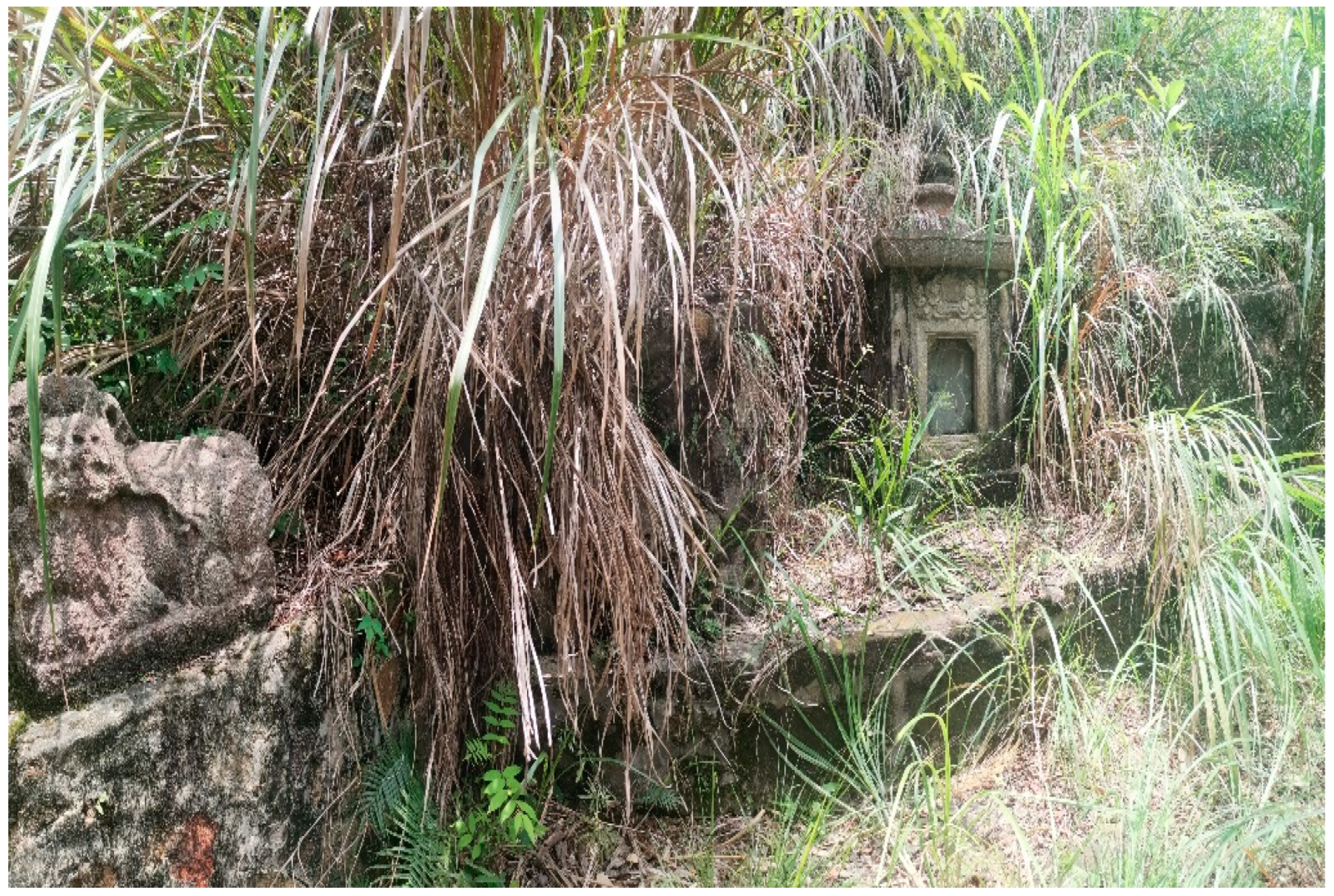 Religions 14 00924 g004