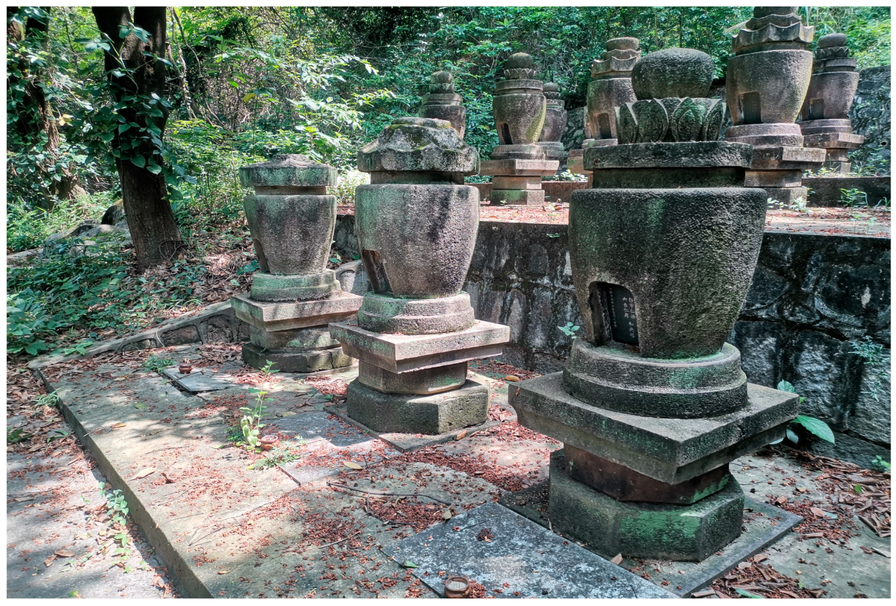 Religions 14 00924 g007