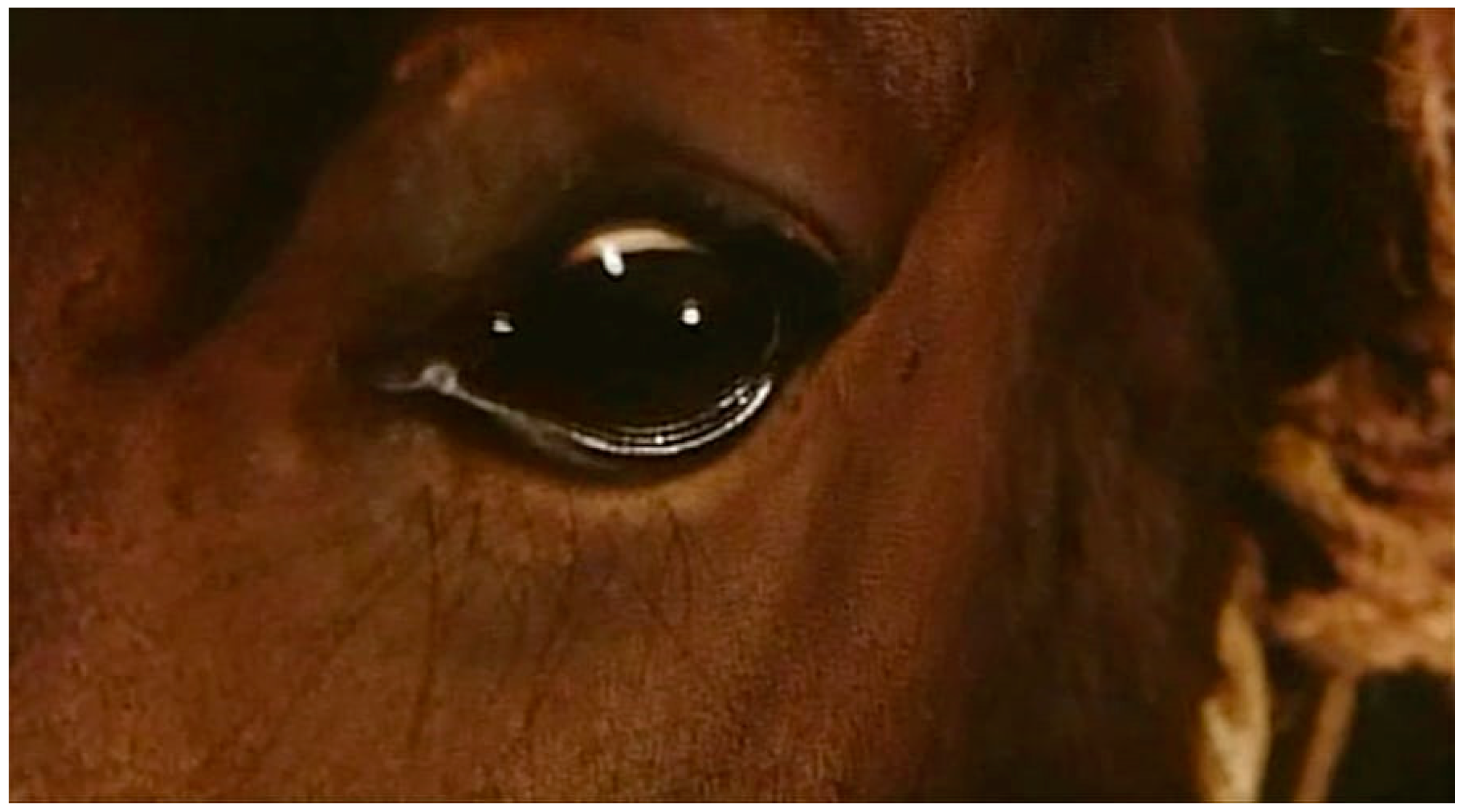 Religions 14 00994 g002