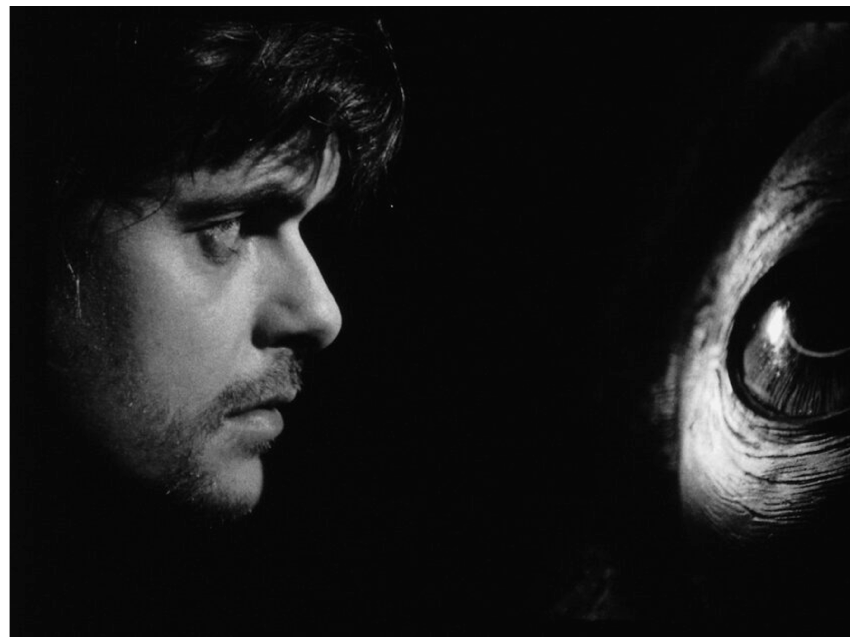 Religions 14 00994 g004