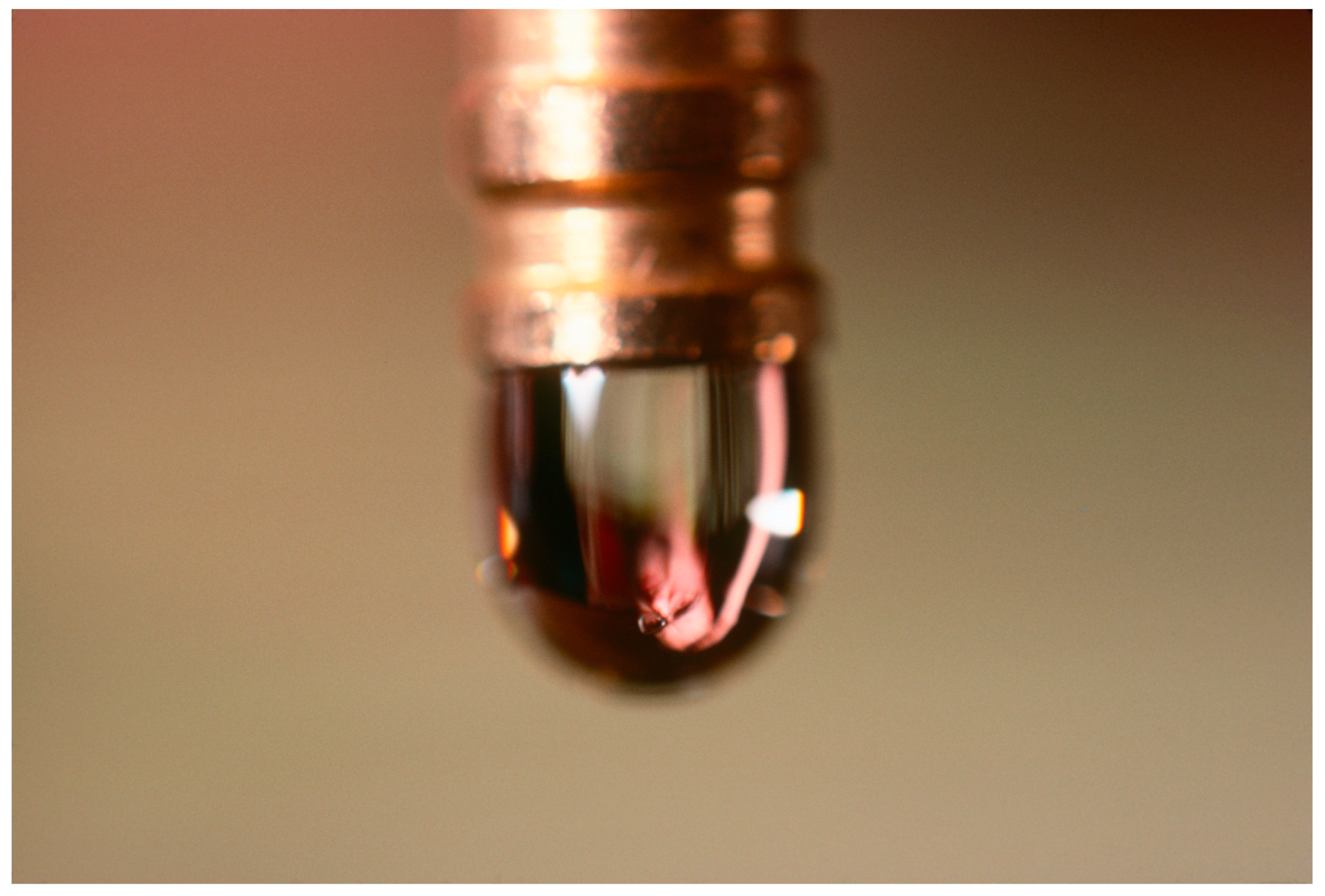 Religions 14 00994 g005