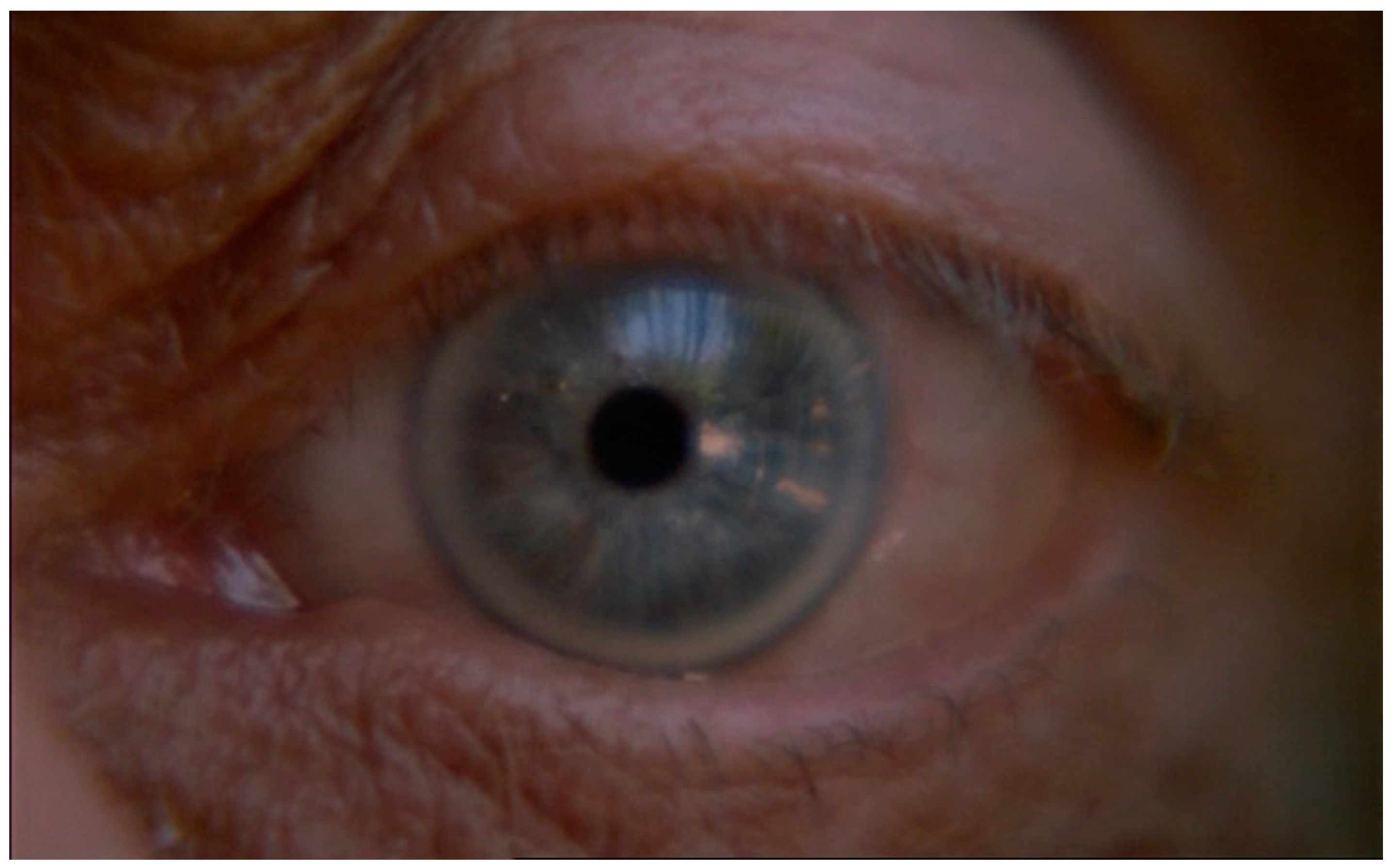 Religions 14 00994 g007