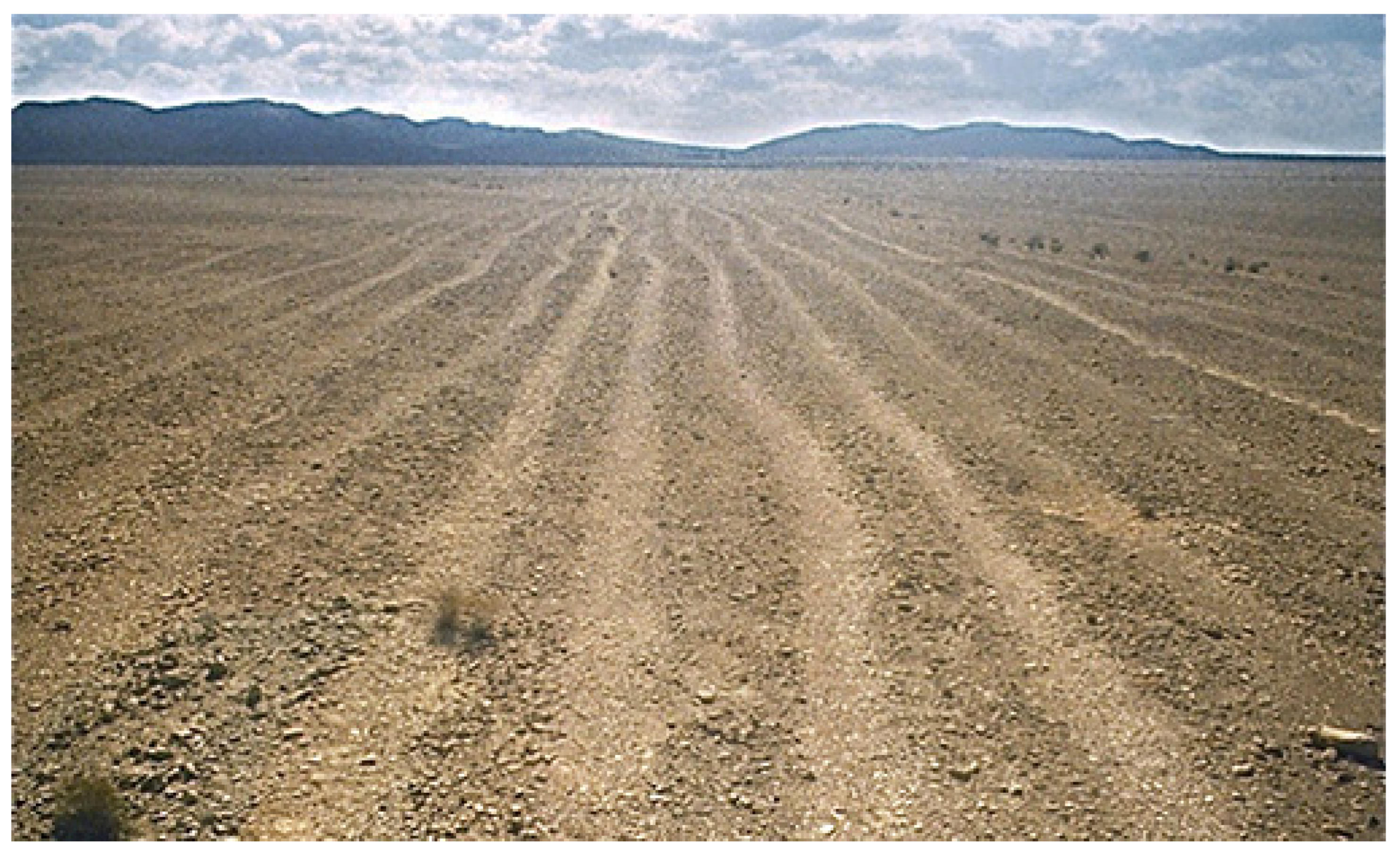 Religions 14 01472 g003