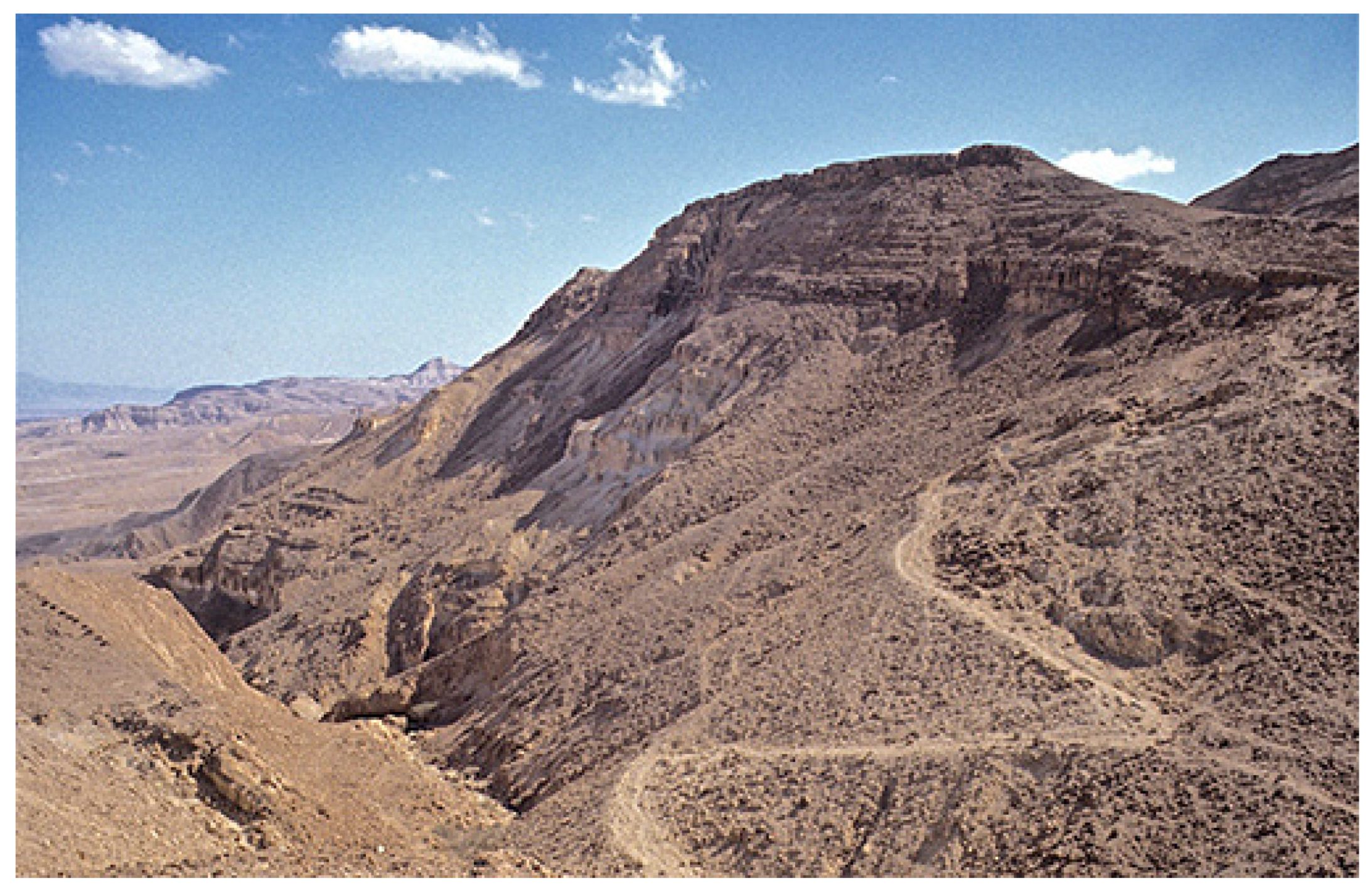 Religions 14 01472 g005