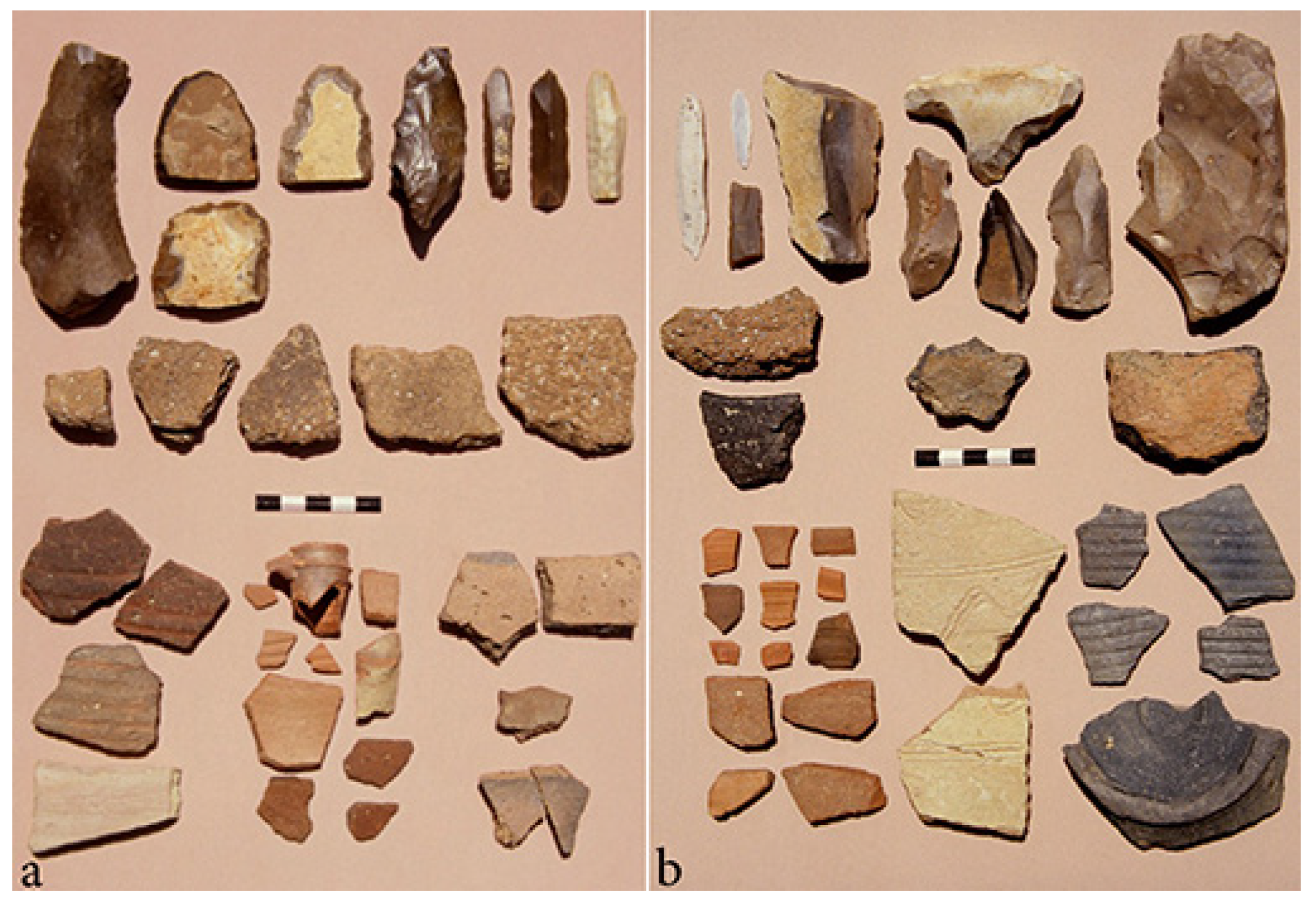 Religions 14 01472 g008