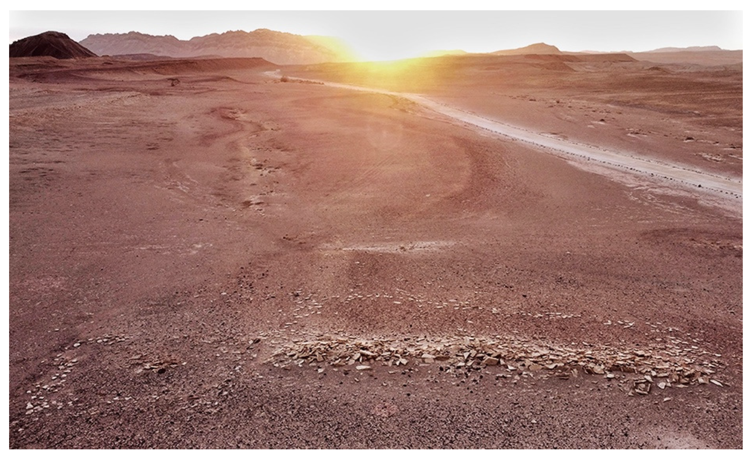 Religions 14 01472 g022