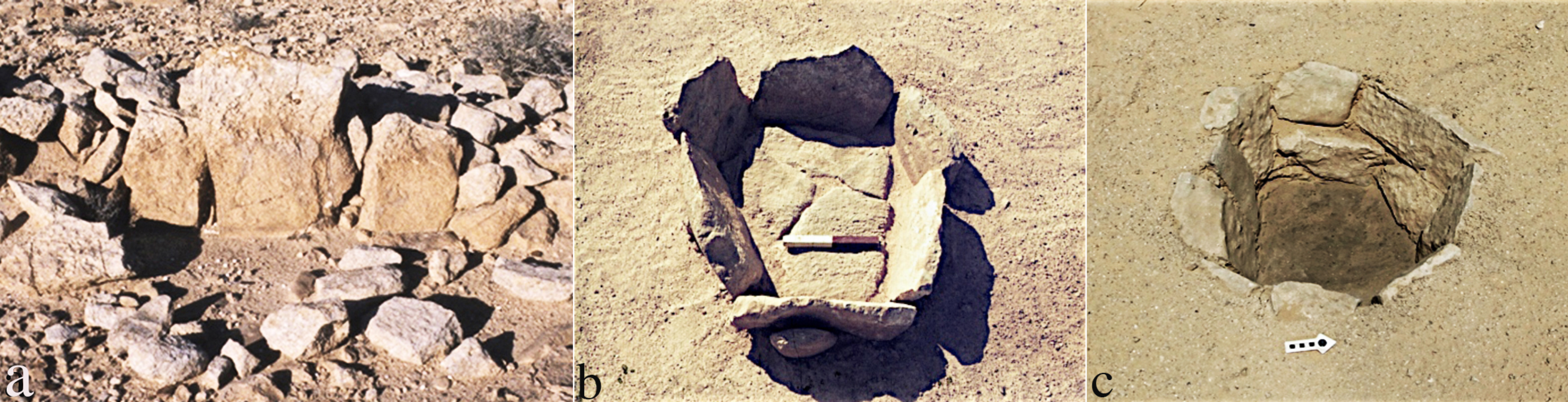 Religions 14 01472 g023