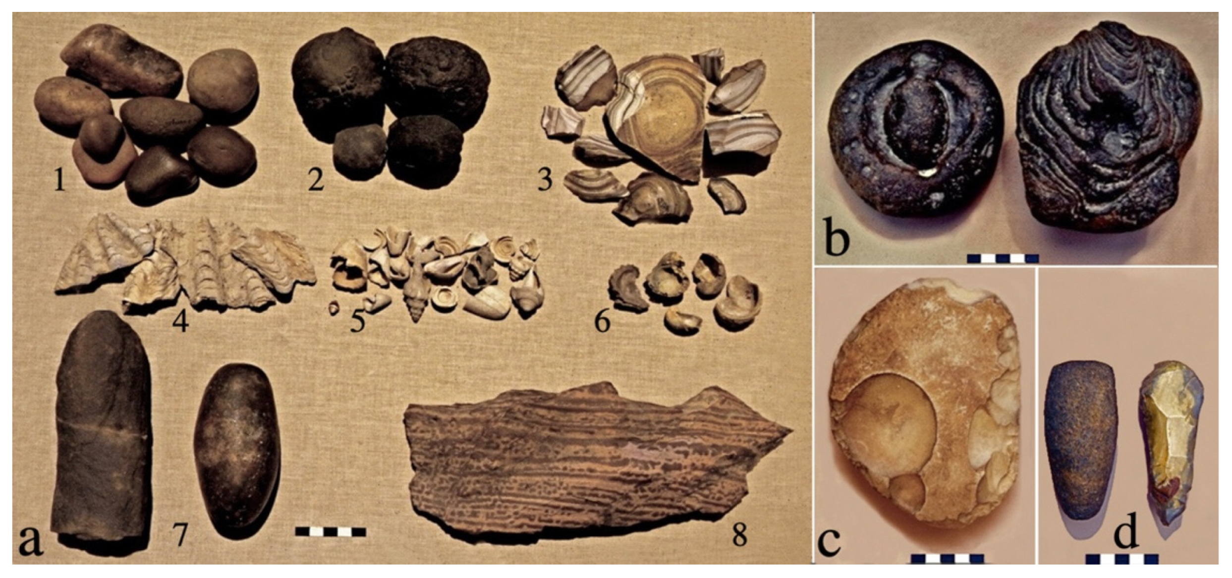 Religions 14 01472 g024