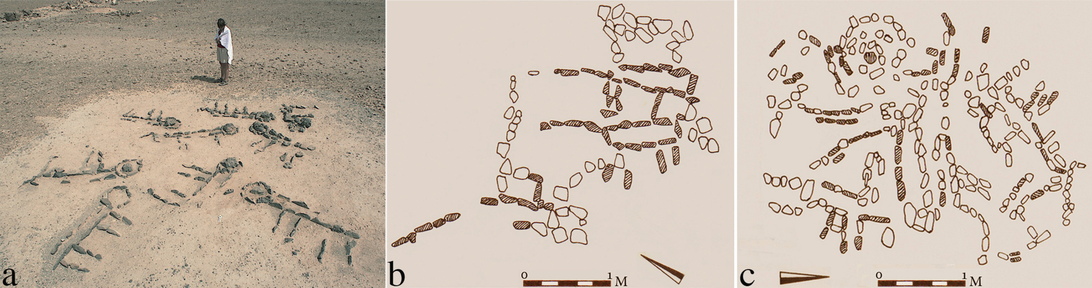 Religions 14 01472 g026