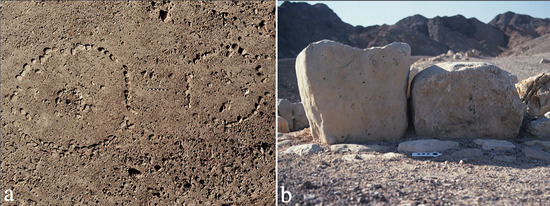 Religions 14 01472 g035