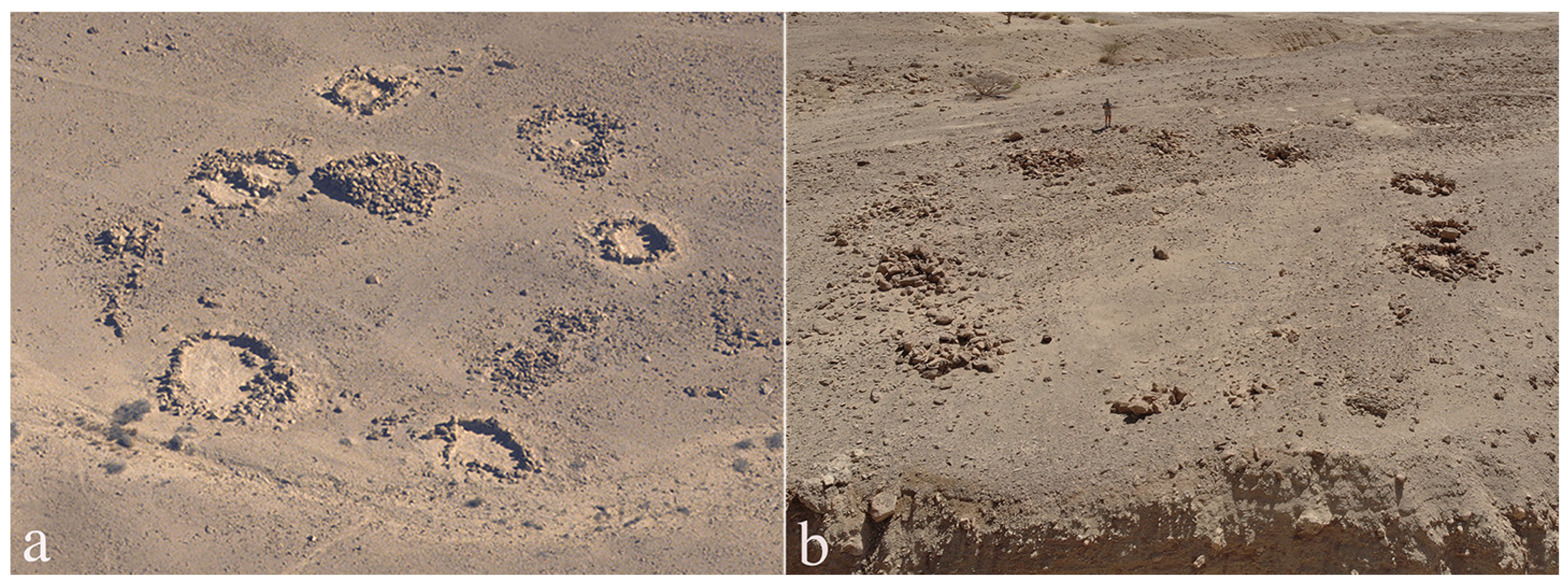 Religions 14 01472 g037